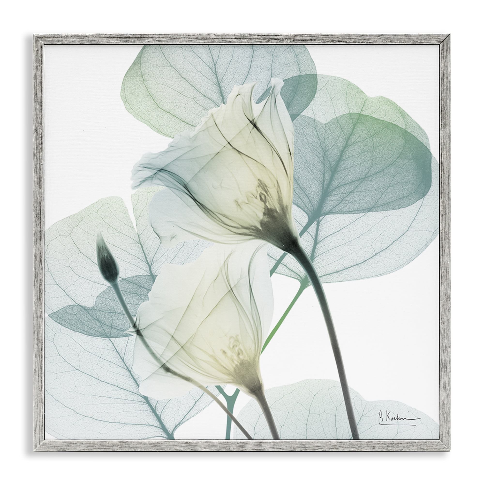 Stupell Industries Divine Fate Petals Gray Framed Giclee Art, design by Albert Koetsier