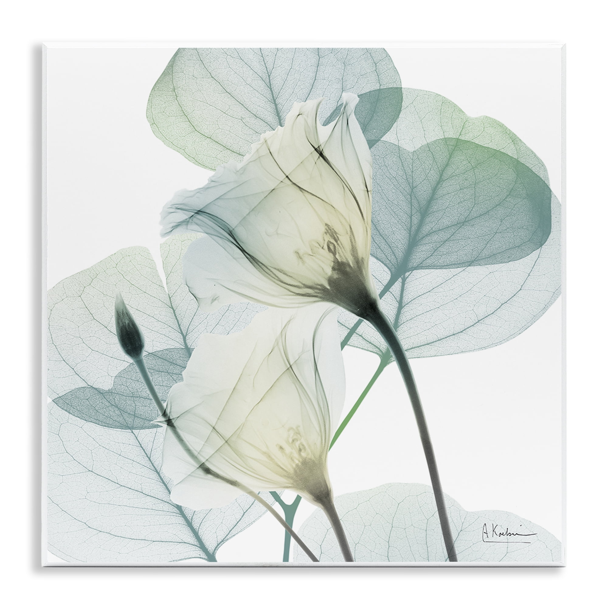 Stupell Industries Divine Fate Petals Wall Plaque Art, design by Albert Koetsier