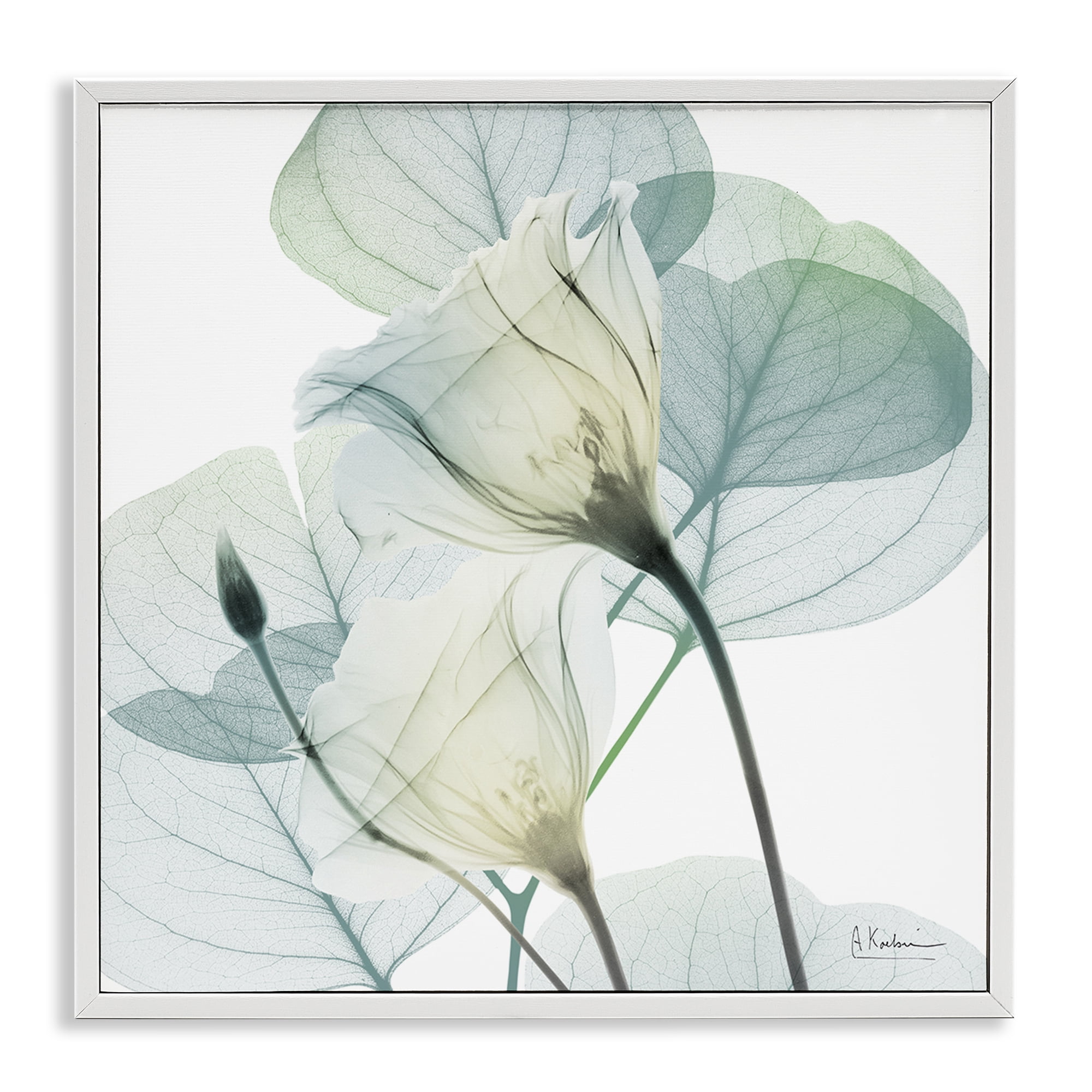 Stupell Industries Divine Fate Petals White Framed Giclee Art, design by Albert Koetsier