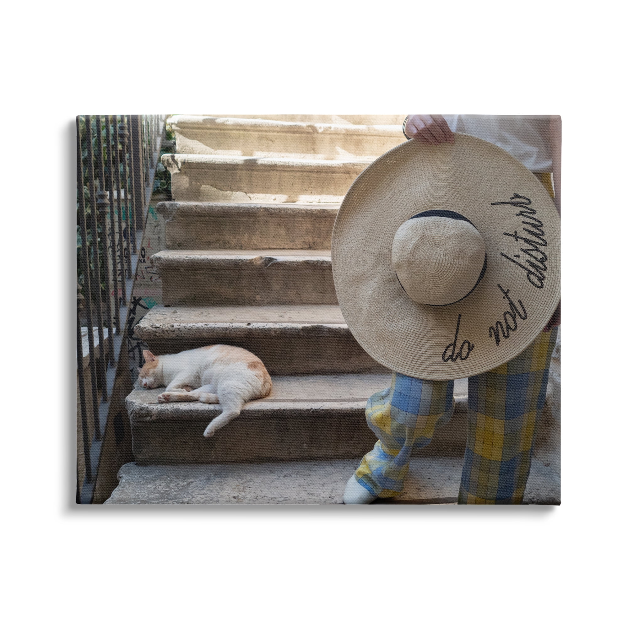 Stupell Industries Do Not Disturb Cat Animals & Insects Photography Gallery Wrapped Canvas Art Print Wall Art, 20 x 16