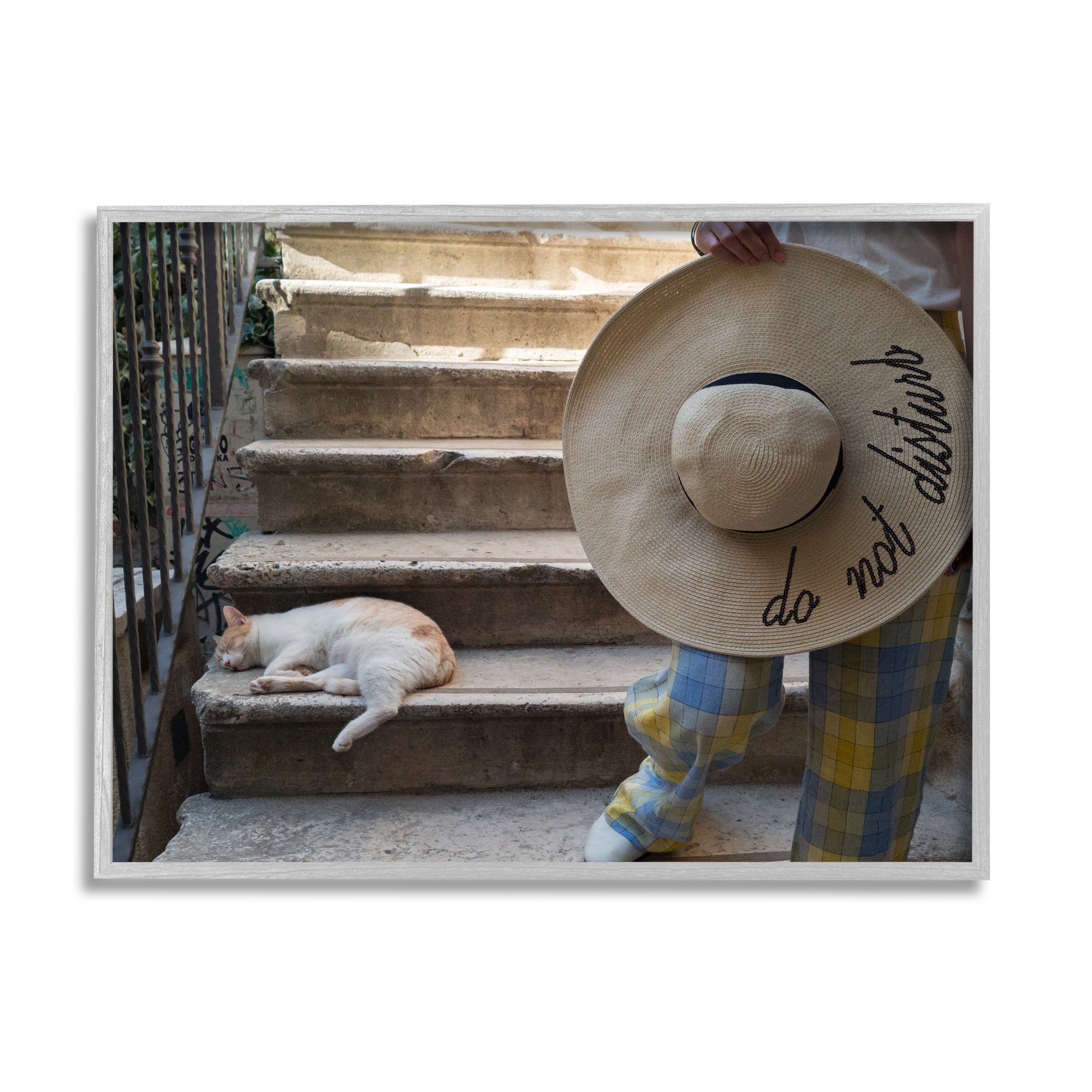 Stupell Industries Do Not Disturb Cat Animals & Insects Photography Gray Framed Art Print Wall Art, 14 x 11