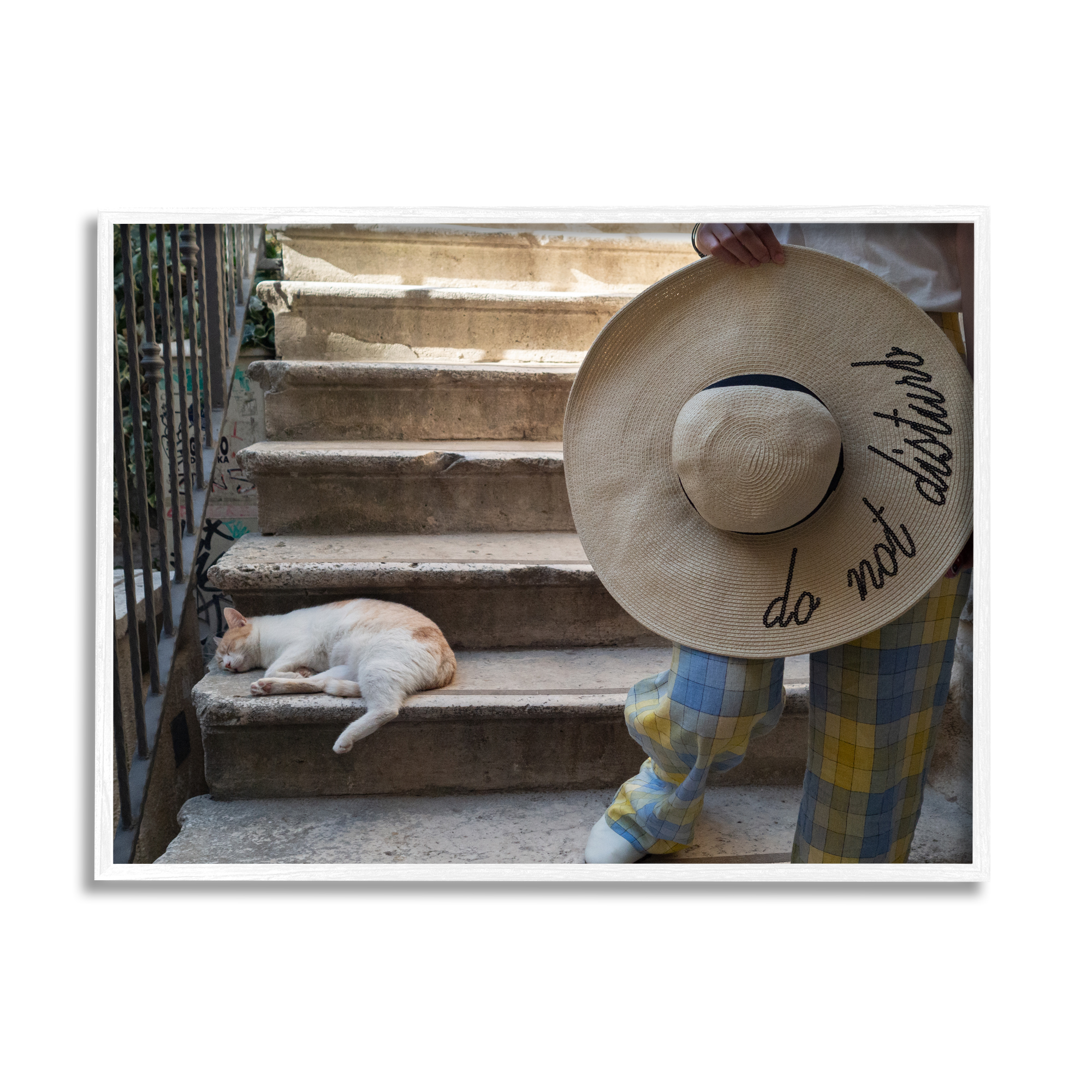 Stupell Industries Do Not Disturb Cat Animals & Insects Photography White Framed Art Print Wall Art, 20 x 16