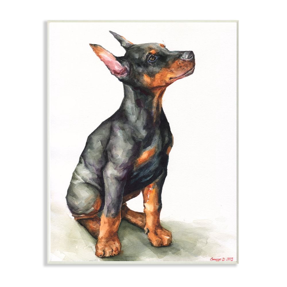 Stupell Industries Doberman Puppy Dog Pet Animal Watercolor Painting Wall Plaque Art by George Dyachenko