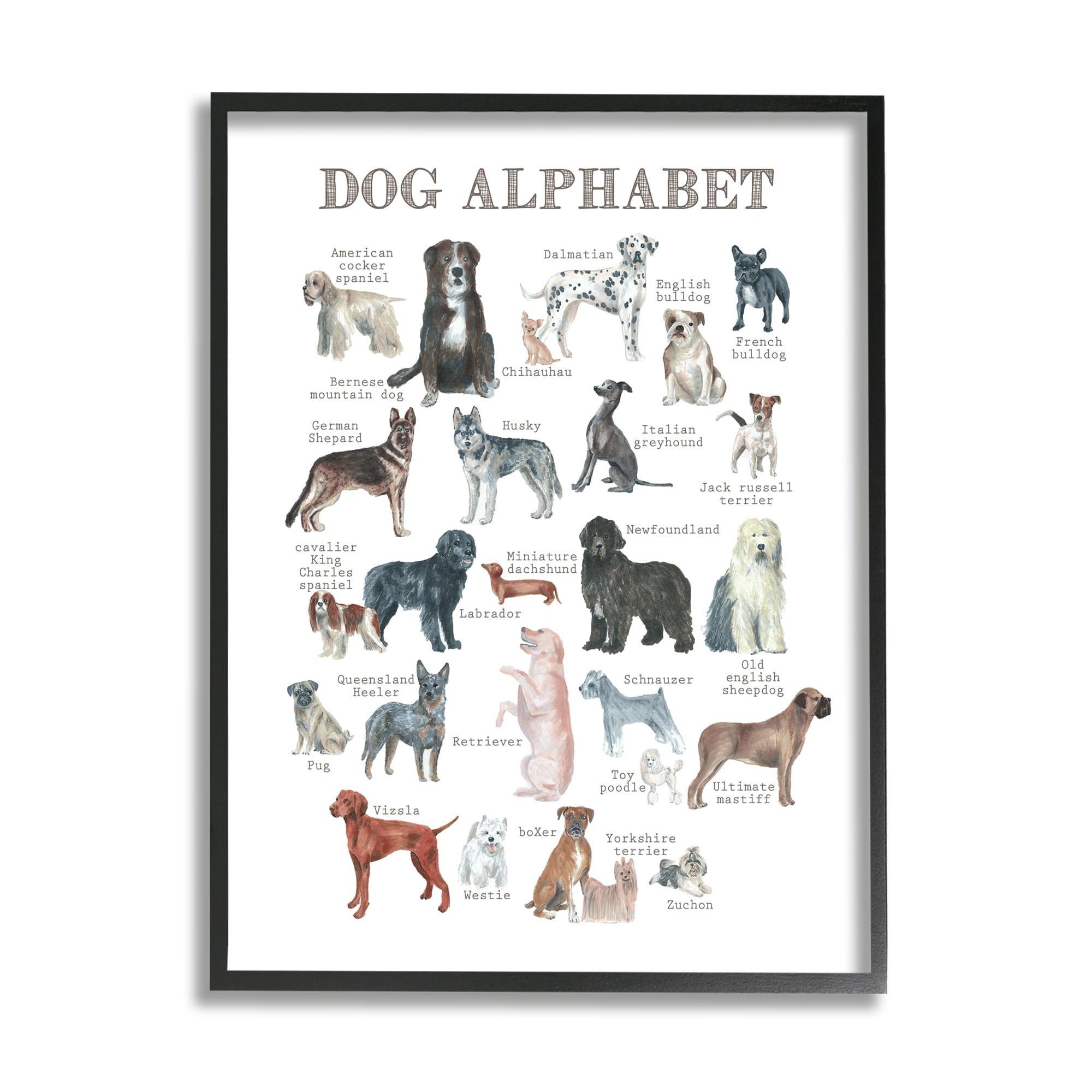 Stupell Industries Dog Alphabet Multiple Breeds Educational Animals Chart Graphic Art Black Framed Art Print Wall Art, Design by Dishique