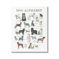 Stupell Industries Dog Alphabet Multiple Breeds Educational Animals Chart Graphic Art Gallery Wrapped Canvas Print Wall Art, Design by Dishique