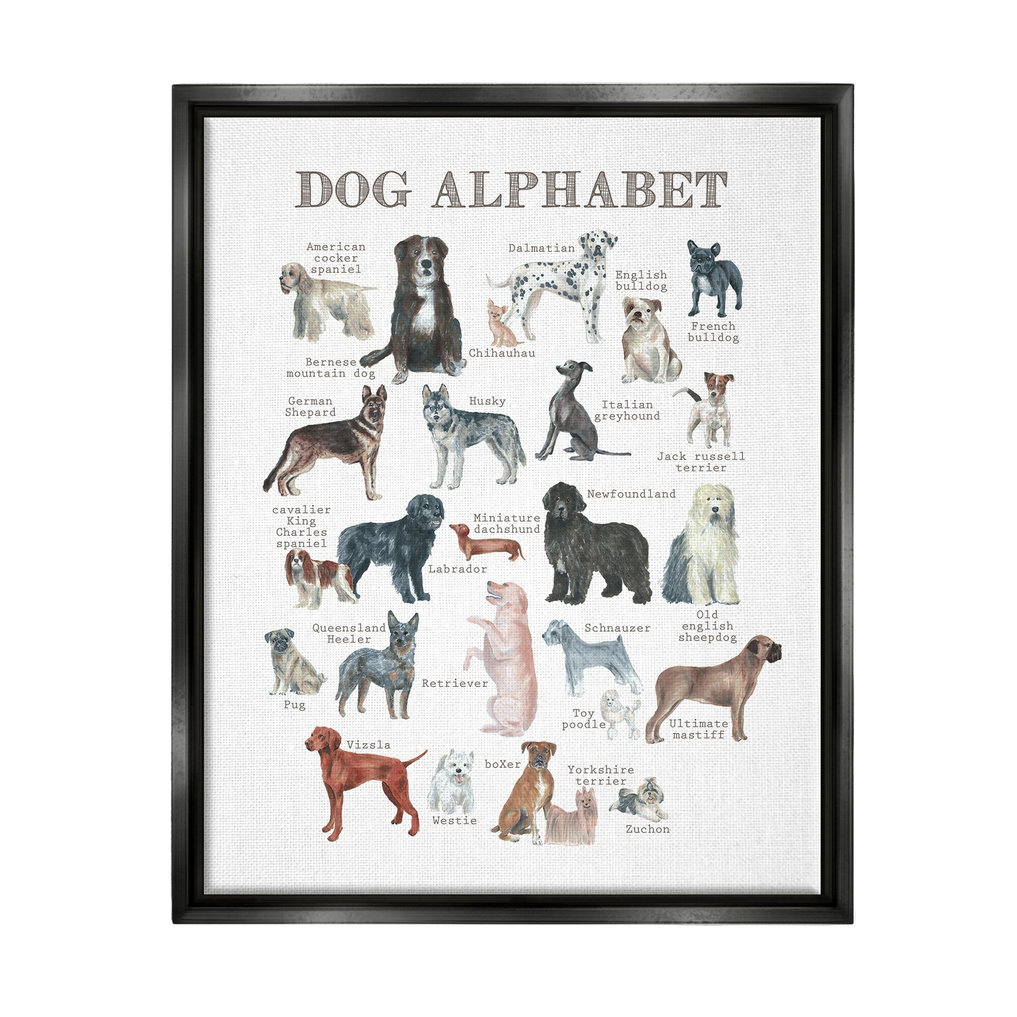 Stupell Industries Dog Alphabet Multiple Breeds Educational Animals Chart Graphic Art Jet Black Floating Framed Canvas Print Wall Art, Design by Dishique