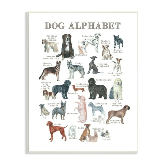 Stupell Industries Dog Alphabet Multiple Breeds Educational Animals Chart Graphic Art Unframed Art Print Wall Art, Design by Dishique