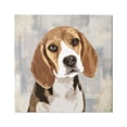 thumbnail image 1 of Stupell Industries Dog Beagle Patiently Waiting Abstract Backdrop Pet Collage,36 x 36, Design by Keri Rodgers, 1 of 7
