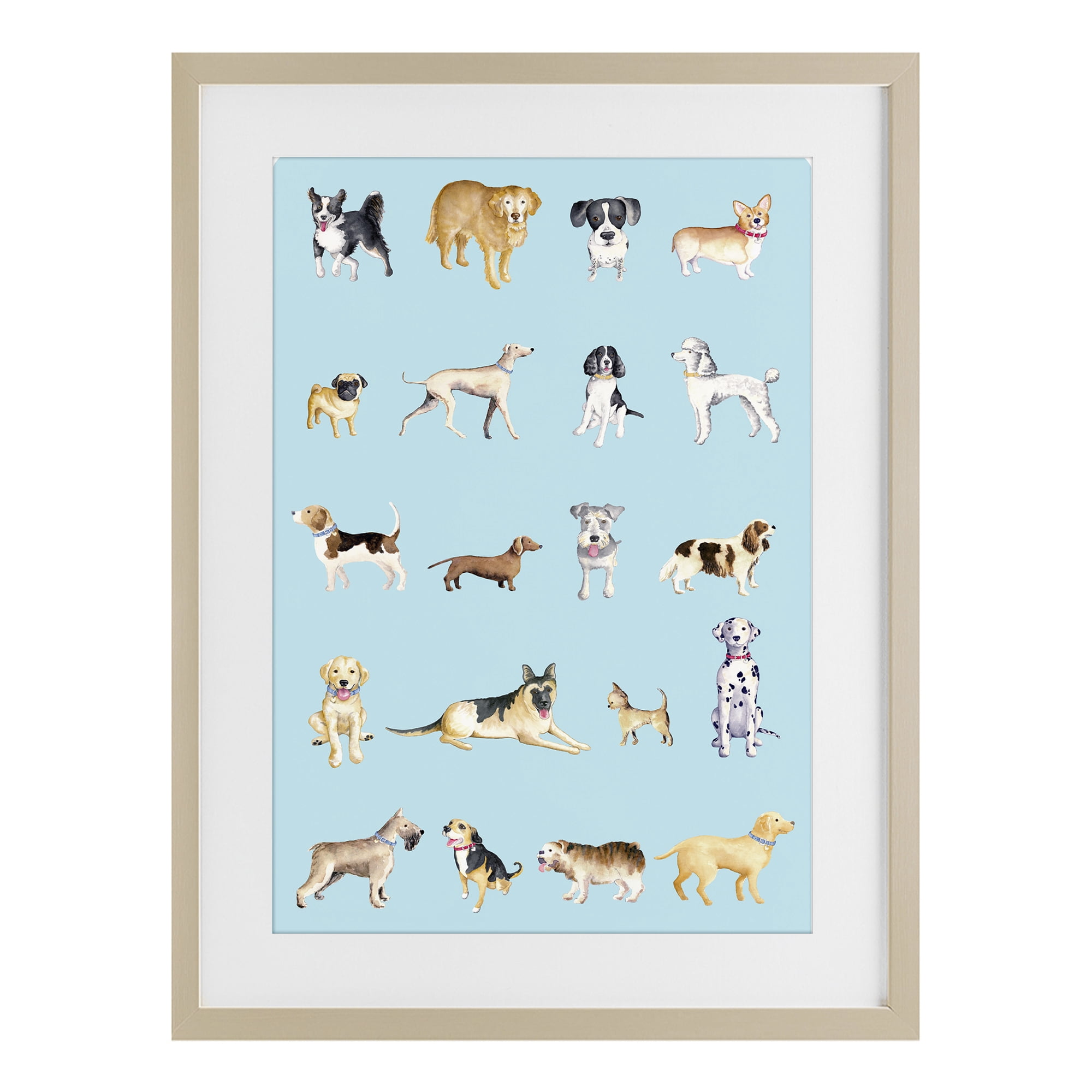 Stupell Industries Dog Breeds on Blue Birch Framed Print Under Glass, design by Andi Metz