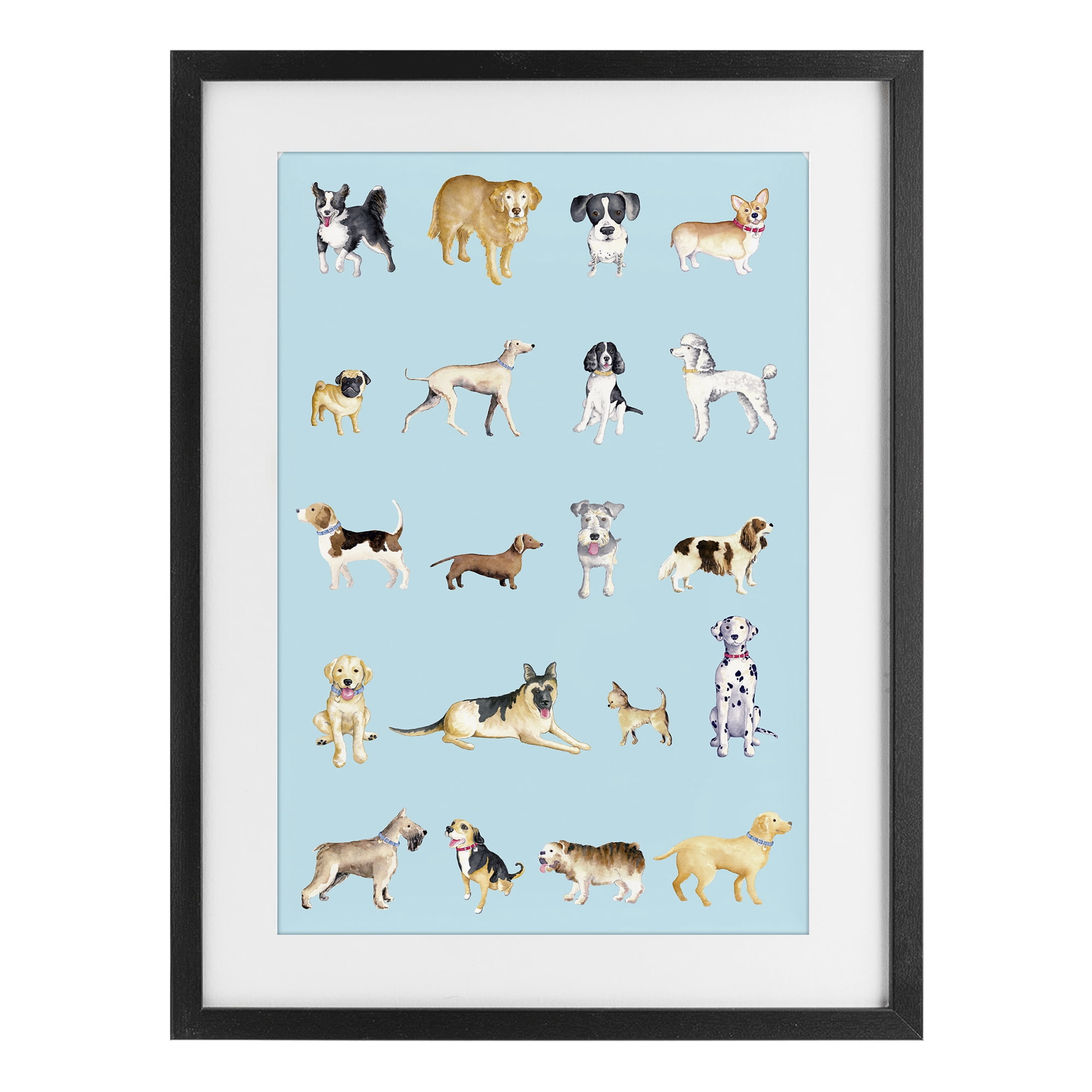 Stupell Industries Dog Breeds on Blue Black Framed Print Under Glass, design by Andi Metz