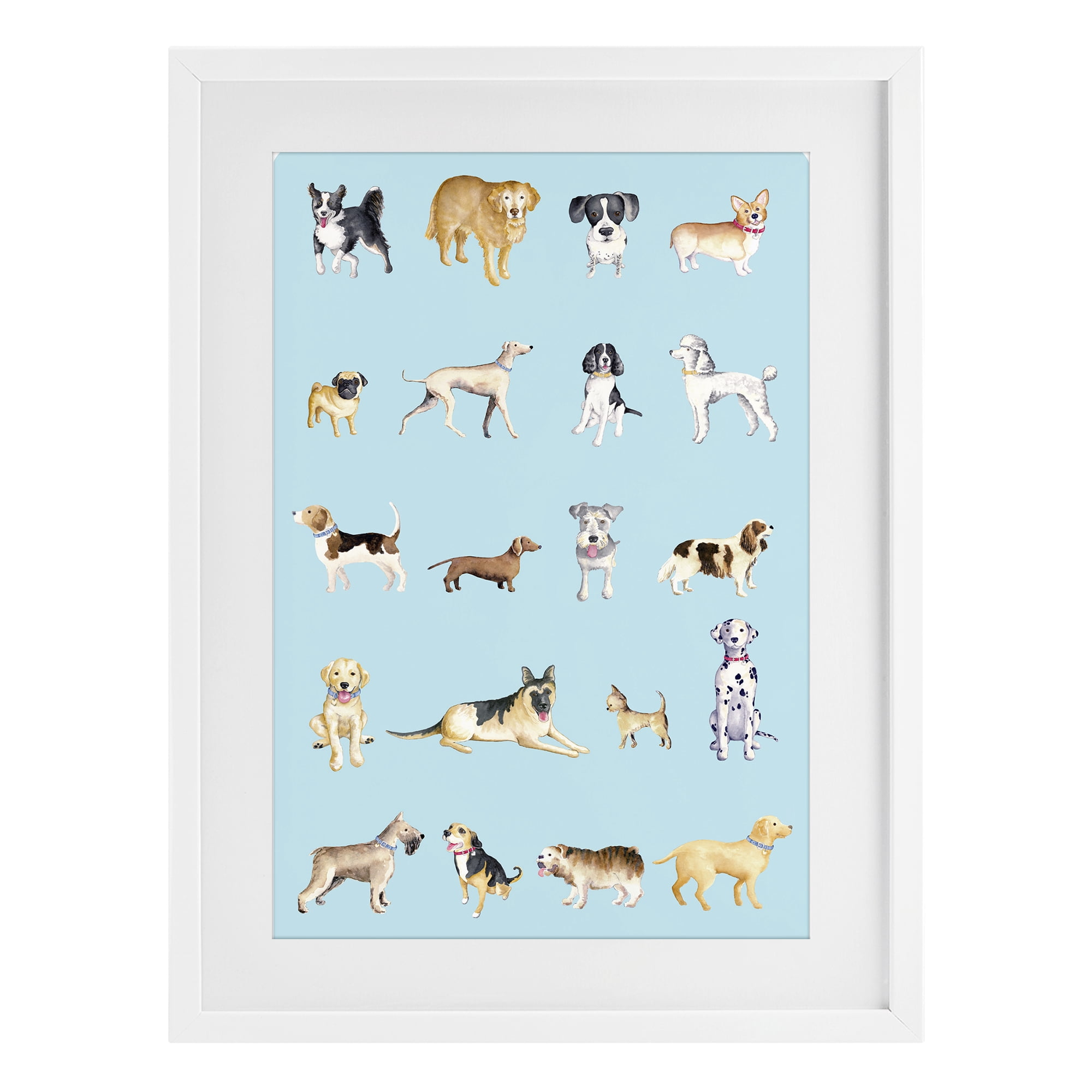 Stupell Industries Dog Breeds on Blue White Framed Print Under Glass, design by Andi Metz