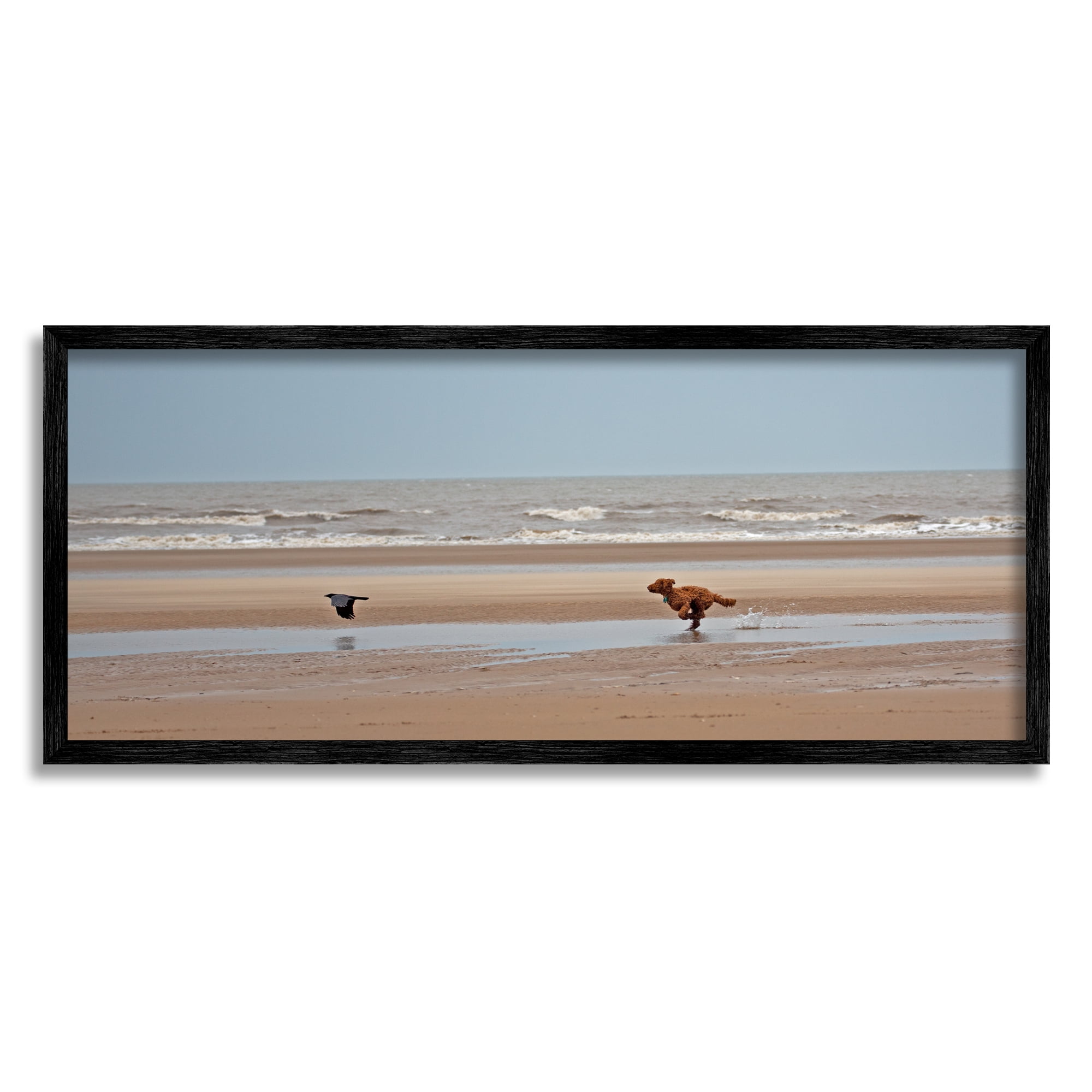 Stupell Industries Dog Chasing Bird on Beach Animals & Insects Photography Black Framed Art Print Wall Art, 24 x 10