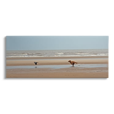 Stupell Industries Dog Chasing Bird on Beach Animals & Insects Photography Gallery Wrapped Canvas Art Print Wall Art, 24 x 10