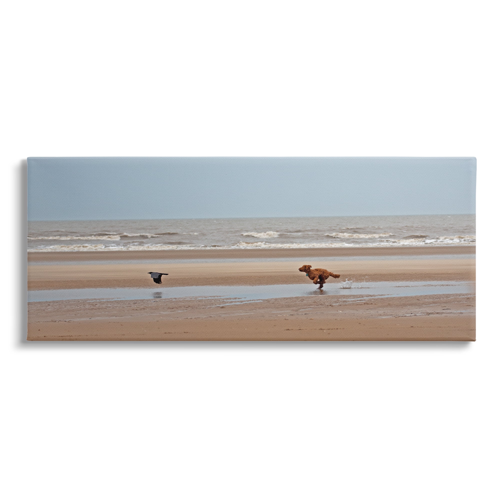 Stupell Industries Dog Chasing Bird on Beach Animals & Insects Photography Gallery Wrapped Canvas Art Print Wall Art, 48 x 20