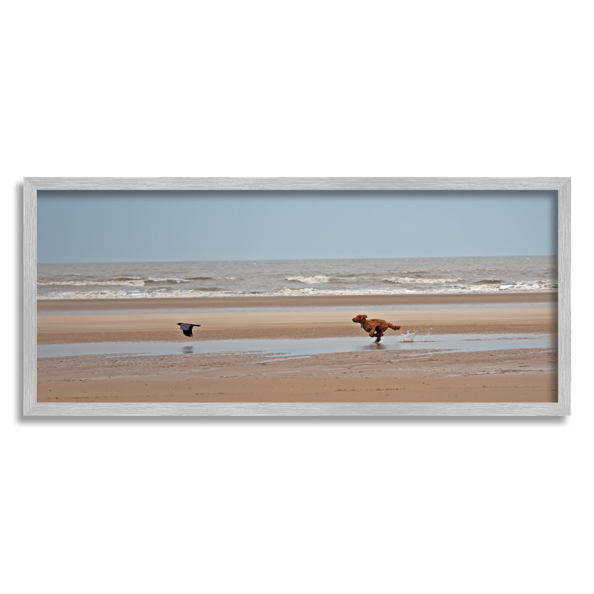 Stupell Industries Dog Chasing Bird on Beach Animals & Insects Photography Gray Framed Art Print Wall Art, 30 x 13