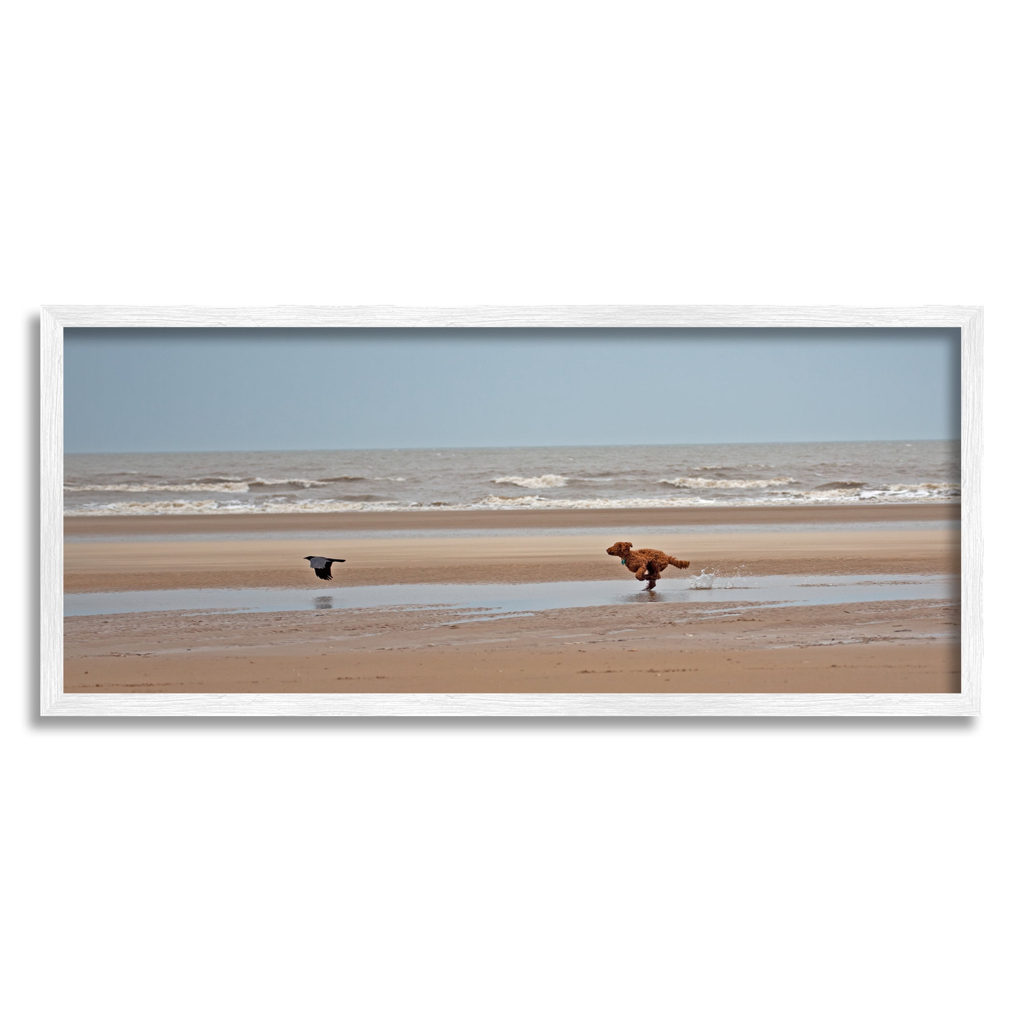 Stupell Industries Dog Chasing Bird on Beach Animals & Insects Photography White Framed Art Print Wall Art, 30 x 13