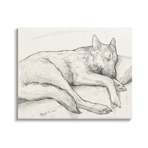 Stupell Industries Dog Curled Up Resting Detailed Graphite Pencil Drawing Drawing Print Gallery Wrapped Canvas Print Wall Art, Design by George Dyachenko