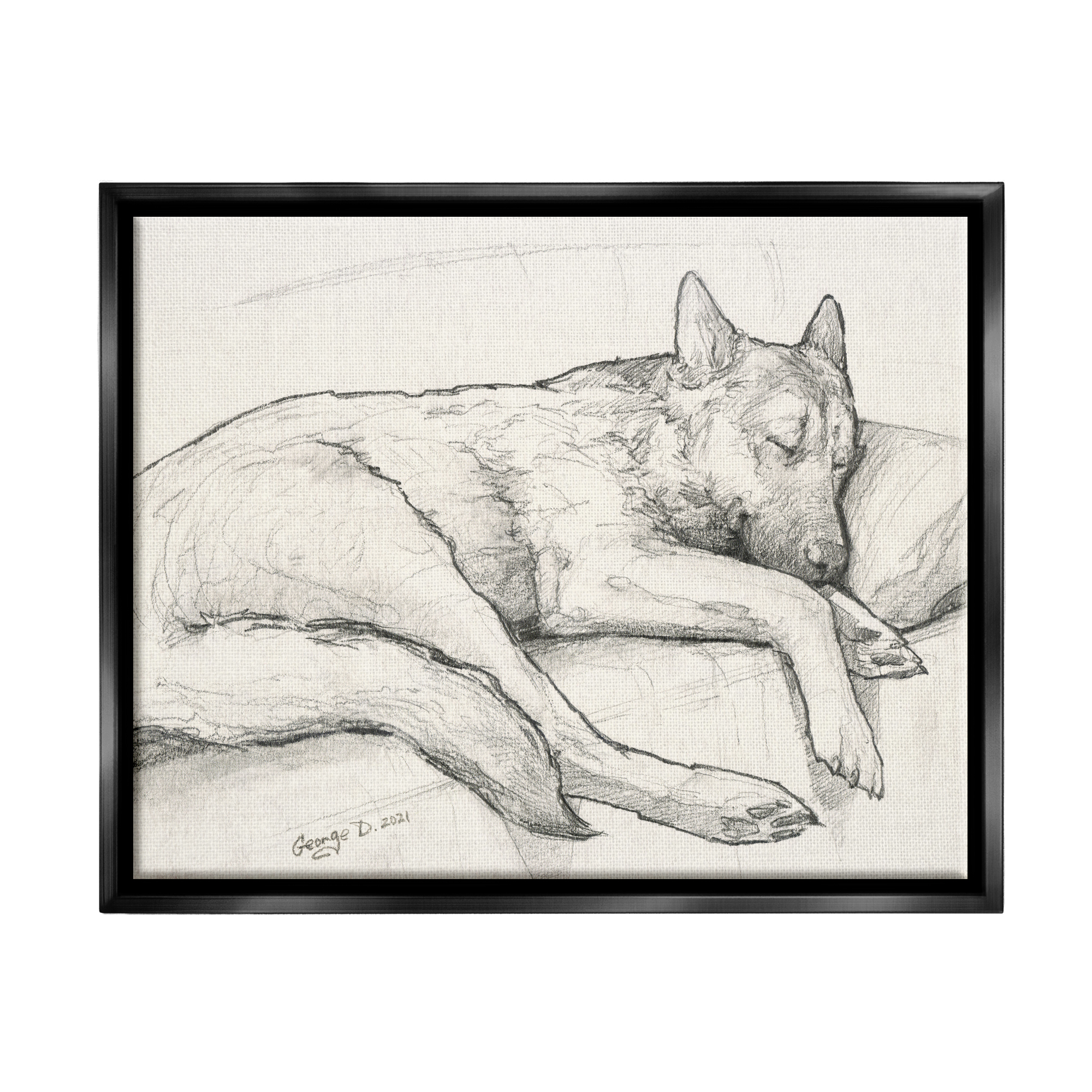Stupell Industries Dog Curled Up Resting Detailed Graphite Pencil Drawing Drawing Print Jet Black Floating Framed Canvas Print Wall Art, Design by George Dyachenko
