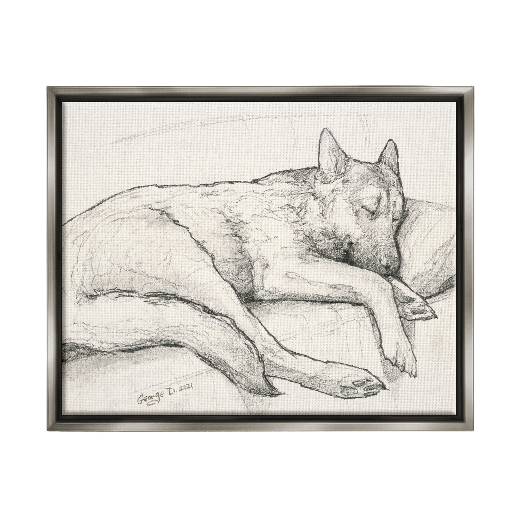 Stupell Industries Dog Curled Up Resting Detailed Graphite Pencil Drawing Drawing Print Luster Gray Floating Framed Canvas Print Wall Art, Design by George Dyachenko