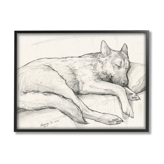 Stupell Industries Dog Curled Up Resting Detailed Graphite Pencil Drawing Drawing Print Black Framed Art Print Wall Art, Design by George Dyachenko
