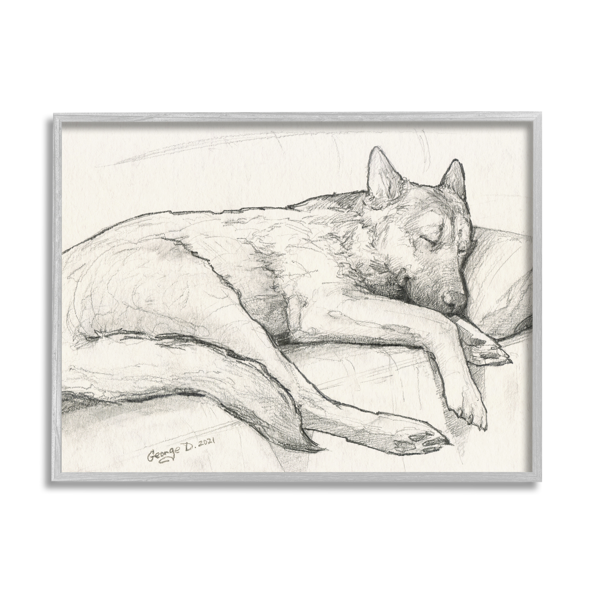 Stupell Industries Dog Curled Up Resting Detailed Graphite Pencil Drawing Drawing Print Gray Framed Art Print Wall Art, Design by George Dyachenko