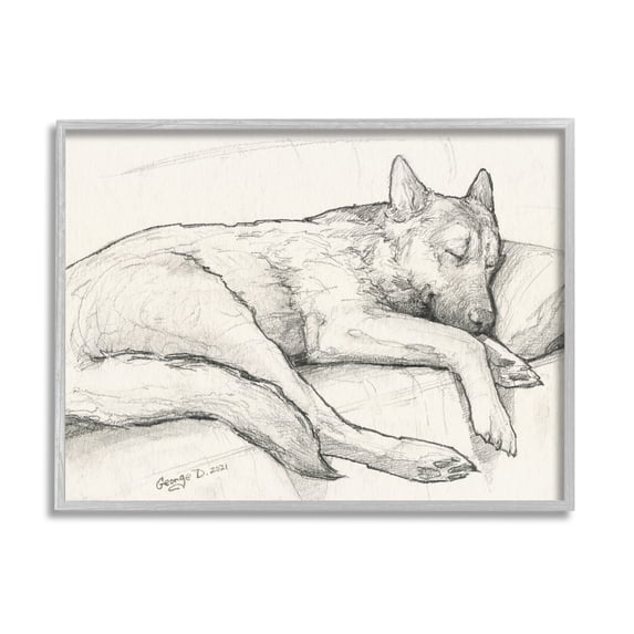 Stupell Industries Dog Curled Up Resting Detailed Graphite Pencil Drawing Drawing Print Gray Framed Art Print Wall Art, Design by George Dyachenko