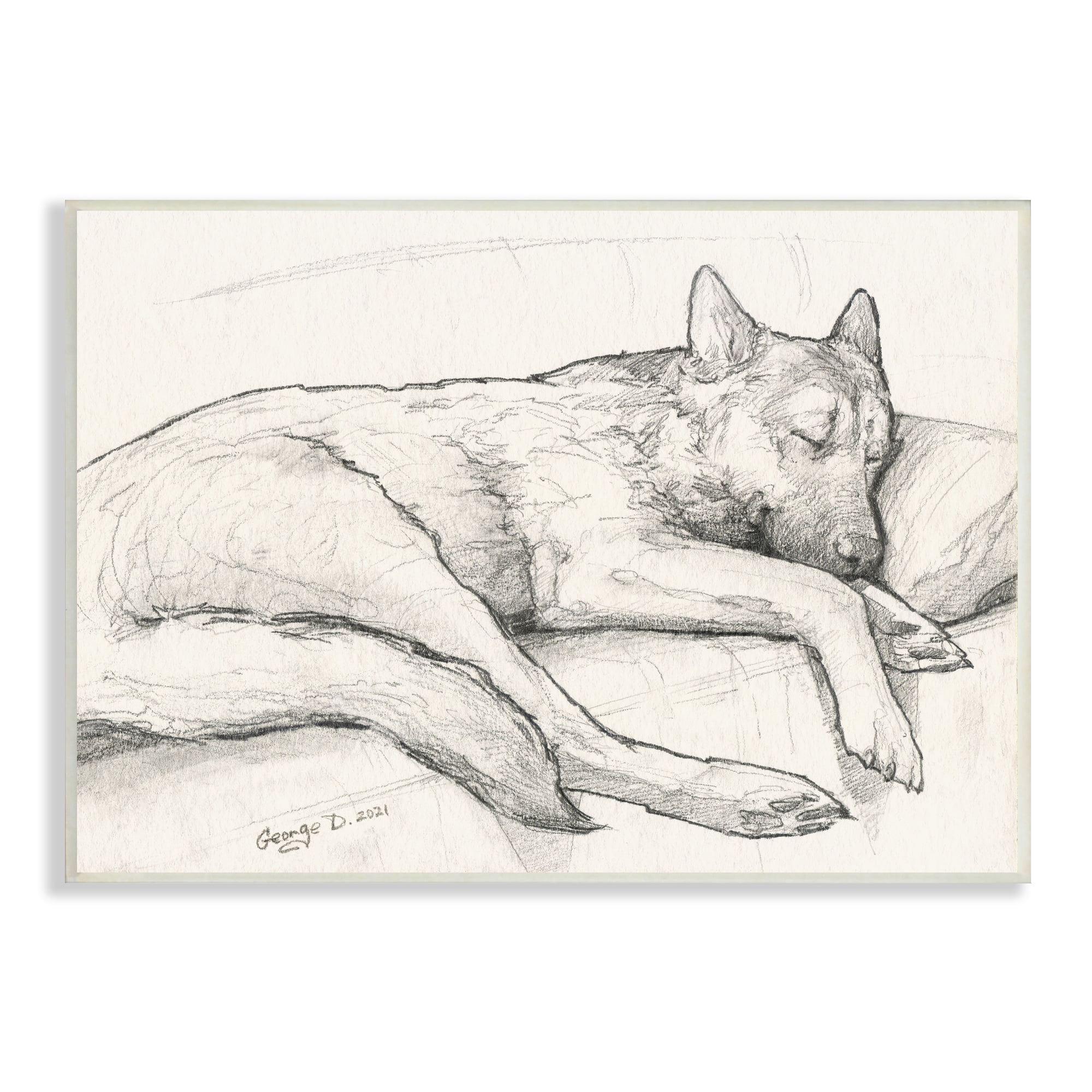 Stupell Industries Dog Curled Up Resting Detailed Graphite Pencil Drawing Drawing Print Unframed Art Print Wall Art, Design by George Dyachenko