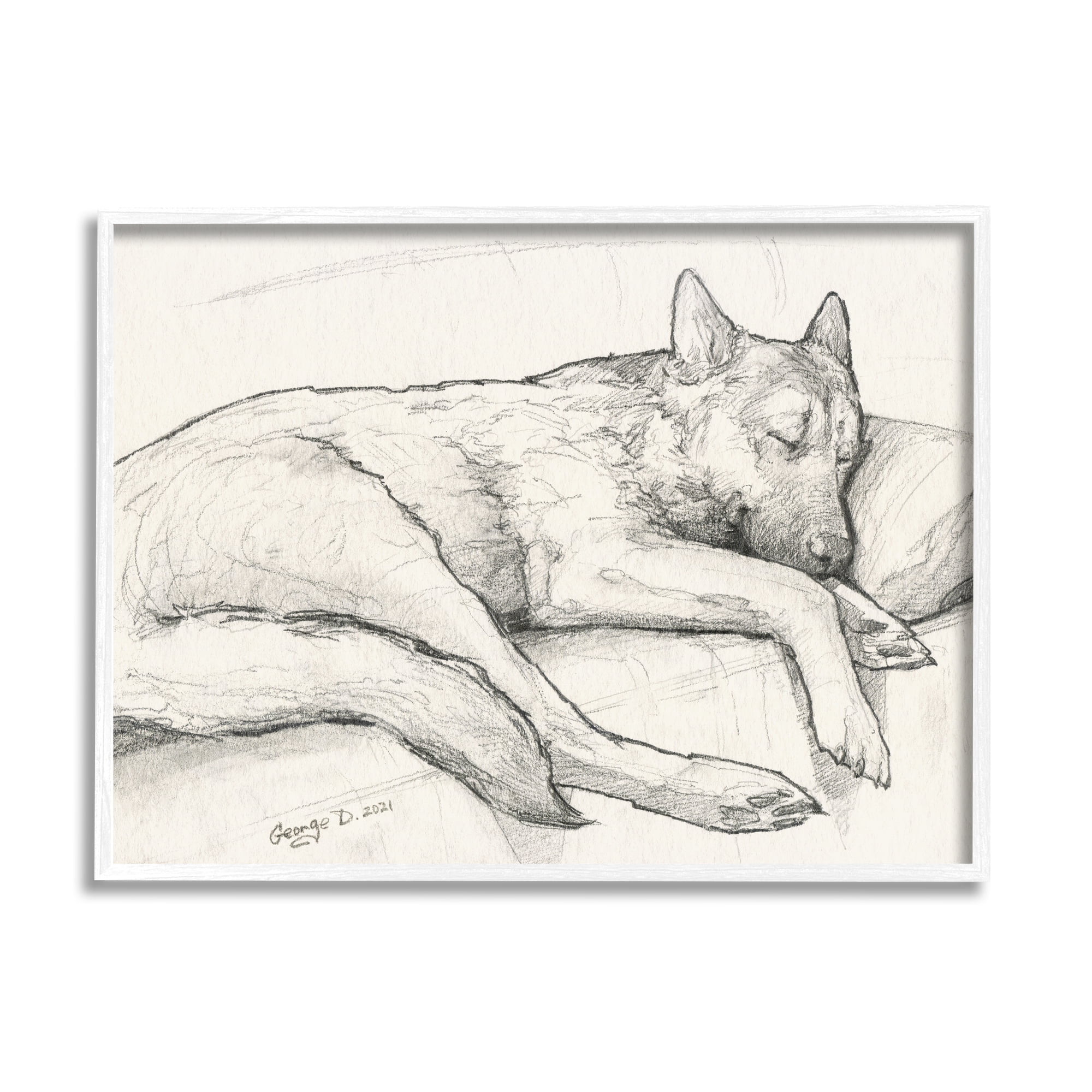 Stupell Industries Dog Curled Up Resting Detailed Graphite Pencil Drawing Drawing Print White Framed Art Print Wall Art, Design by George Dyachenko