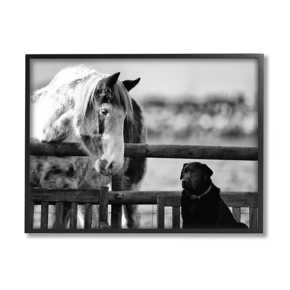 Stupell Industries Dog & Horse Farm Animal Friends Monochrome Photography Photograph Black Framed Art Print Wall Art, Design by James Dobson