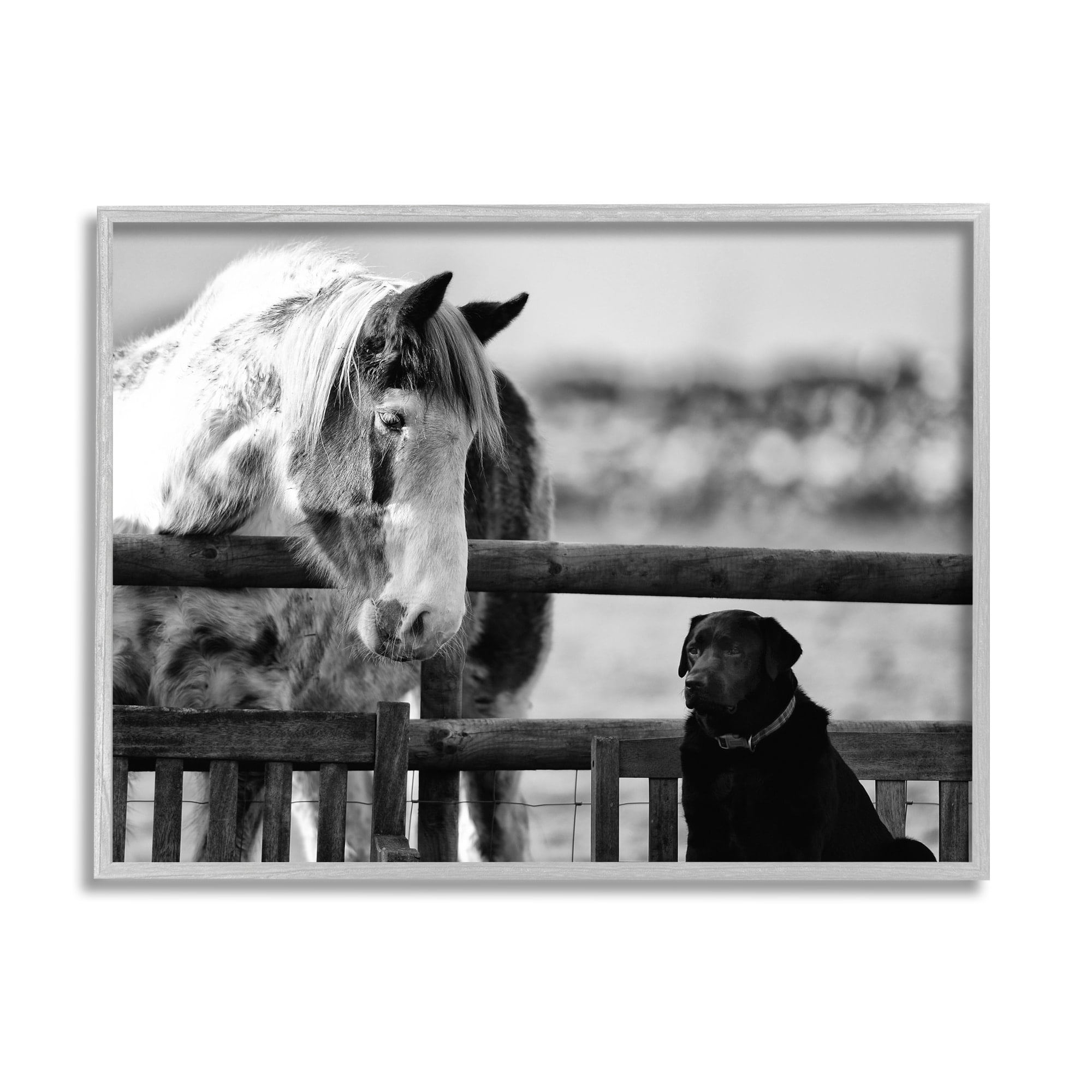 Stupell Industries Dog & Horse Farm Animal Friends Monochrome Photography Photograph Gray Framed Art Print Wall Art, Design by James Dobson