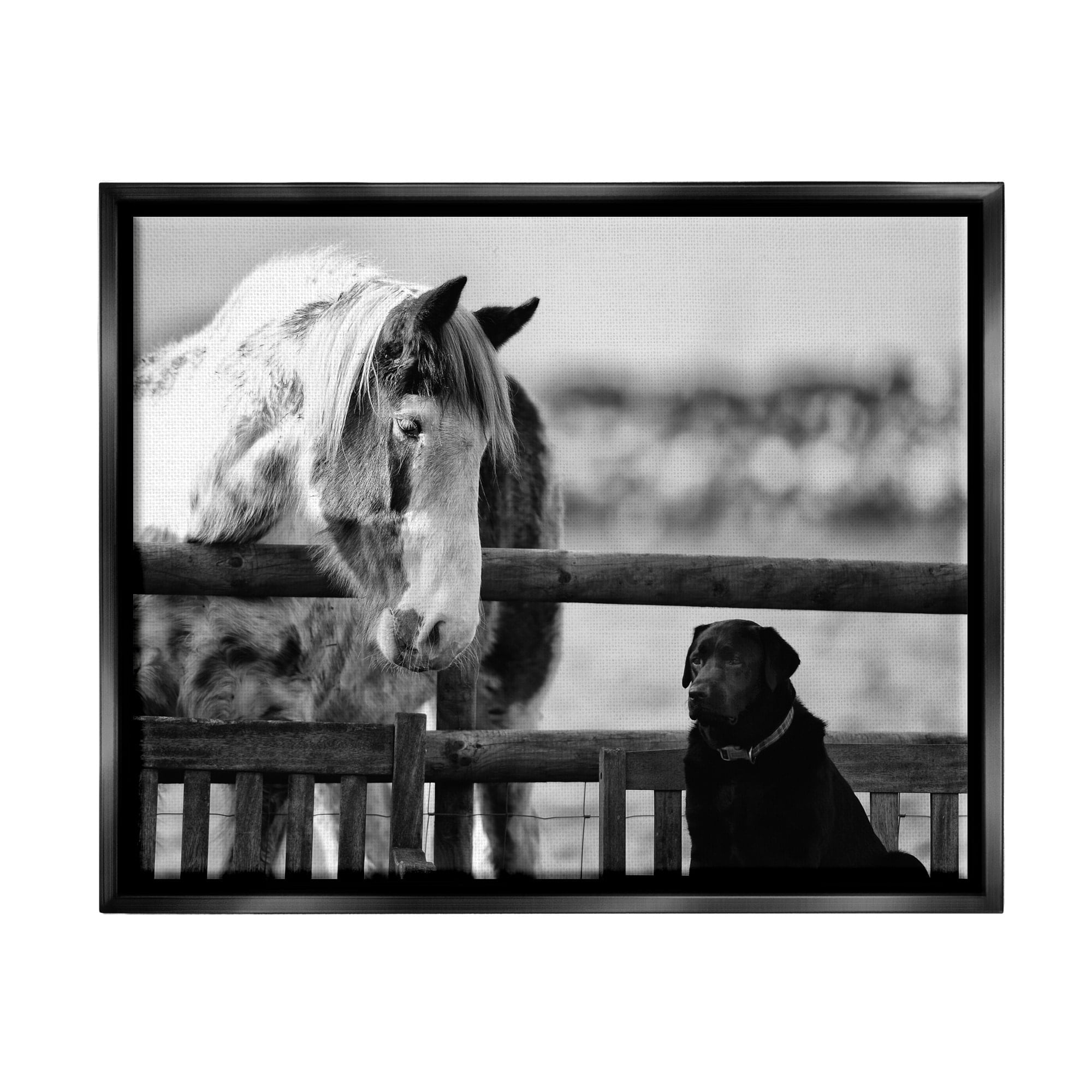 Stupell Industries Dog & Horse Farm Animal Friends Monochrome Photography Photograph Jet Black Floating Framed Canvas Print Wall Art, Design by James Dobson