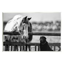Stupell Industries Dog & Horse Farm Animal Friends Monochrome Photography Photograph Unframed Art Print Wall Art, Design by James Dobson