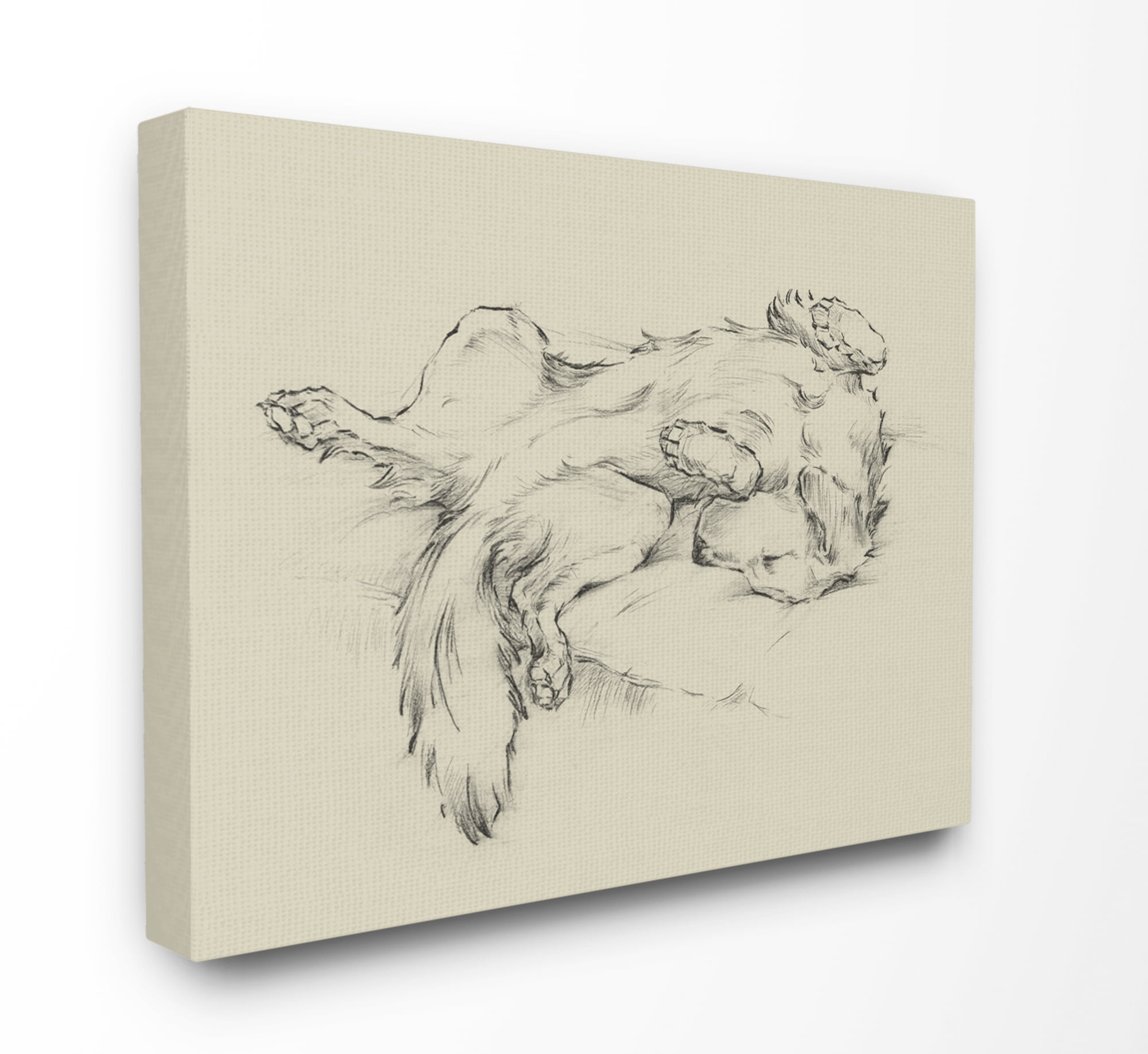 Stupell Industries Dog Napping Pet Animal Drawing Canvas Wall Art by Ethan Harper