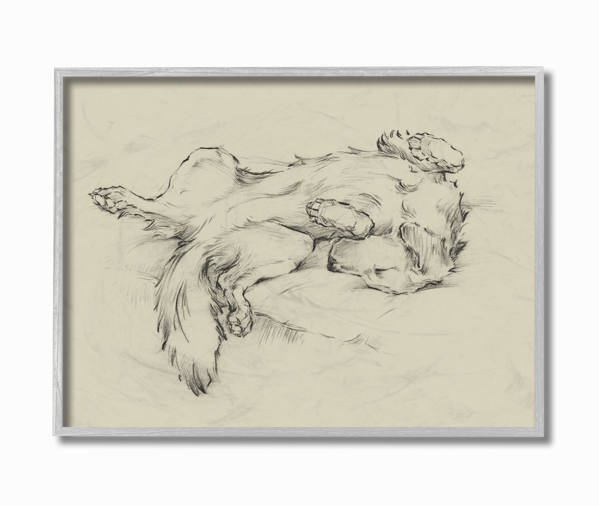 Stupell Industries Dog Napping Pet Animal Drawing Gray Framed Art Print Wall Art, 11x14, by Ethan Harper