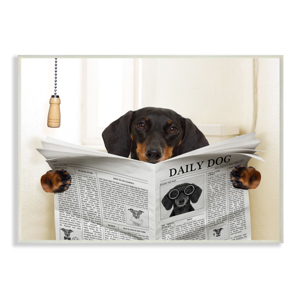 Stupell Industries Dog On Toilet Newspaper Funny Animal Pet Design Photography Unframed Art Print Wall Art, 13x19, by In House