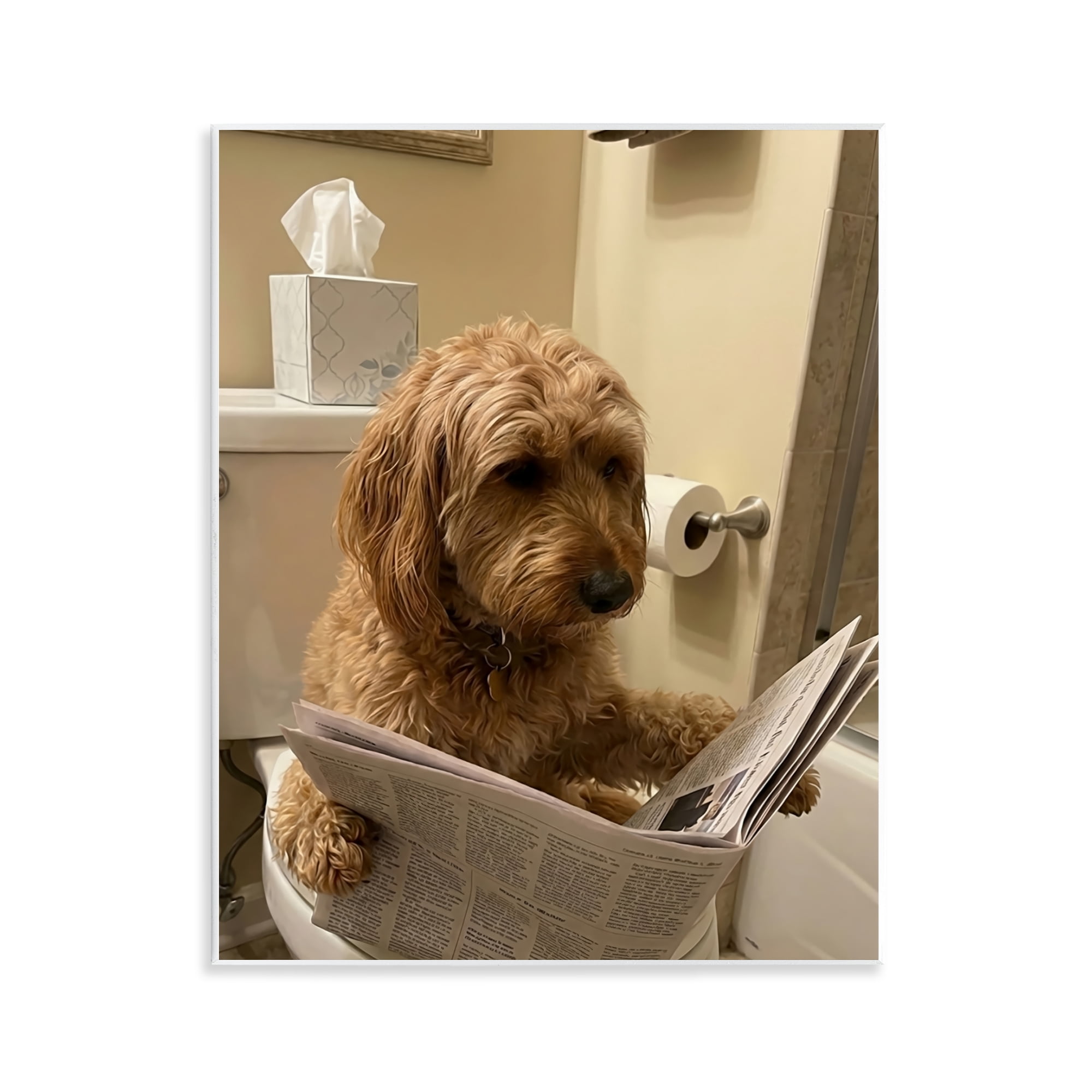 Stupell Industries Dog & Paper on Toilet Wall Plaque Art, design by Abigail Walker