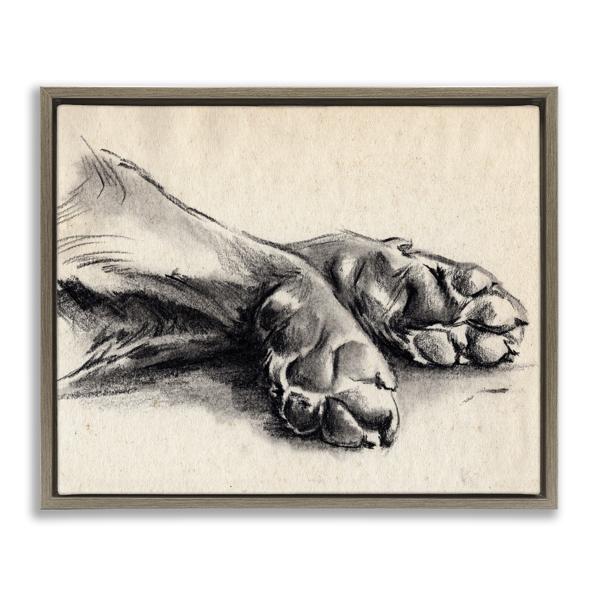 Stupell Industries Dog Paw Charcoal Design Animals & Insects Drawing Brown Floater Framed Canvas Art Print Wall Art, 31 x 25
