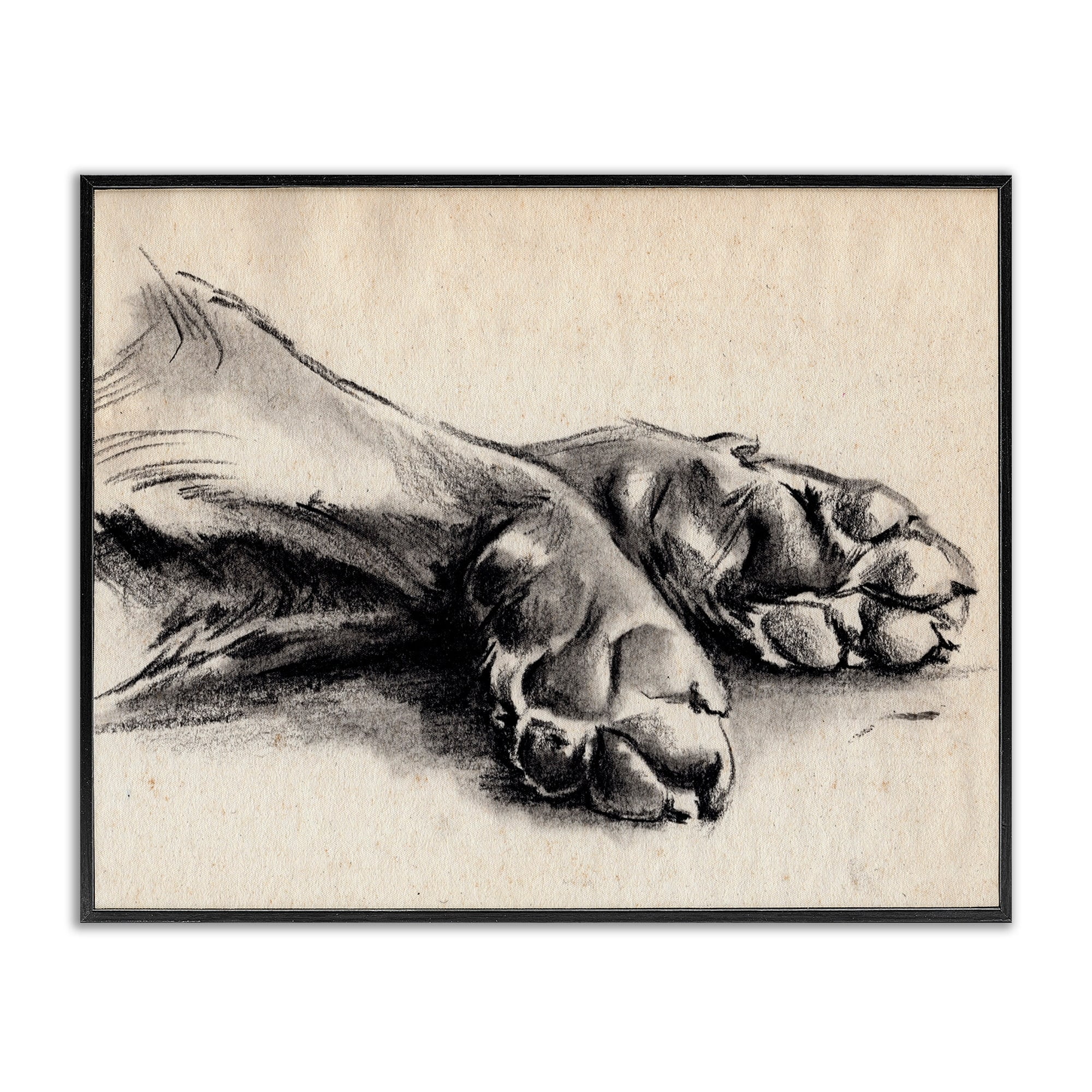 Stupell Industries Dog Paw Charcoal Design Minimal Tan Black Black Framed by Jennifer Paxton Parker