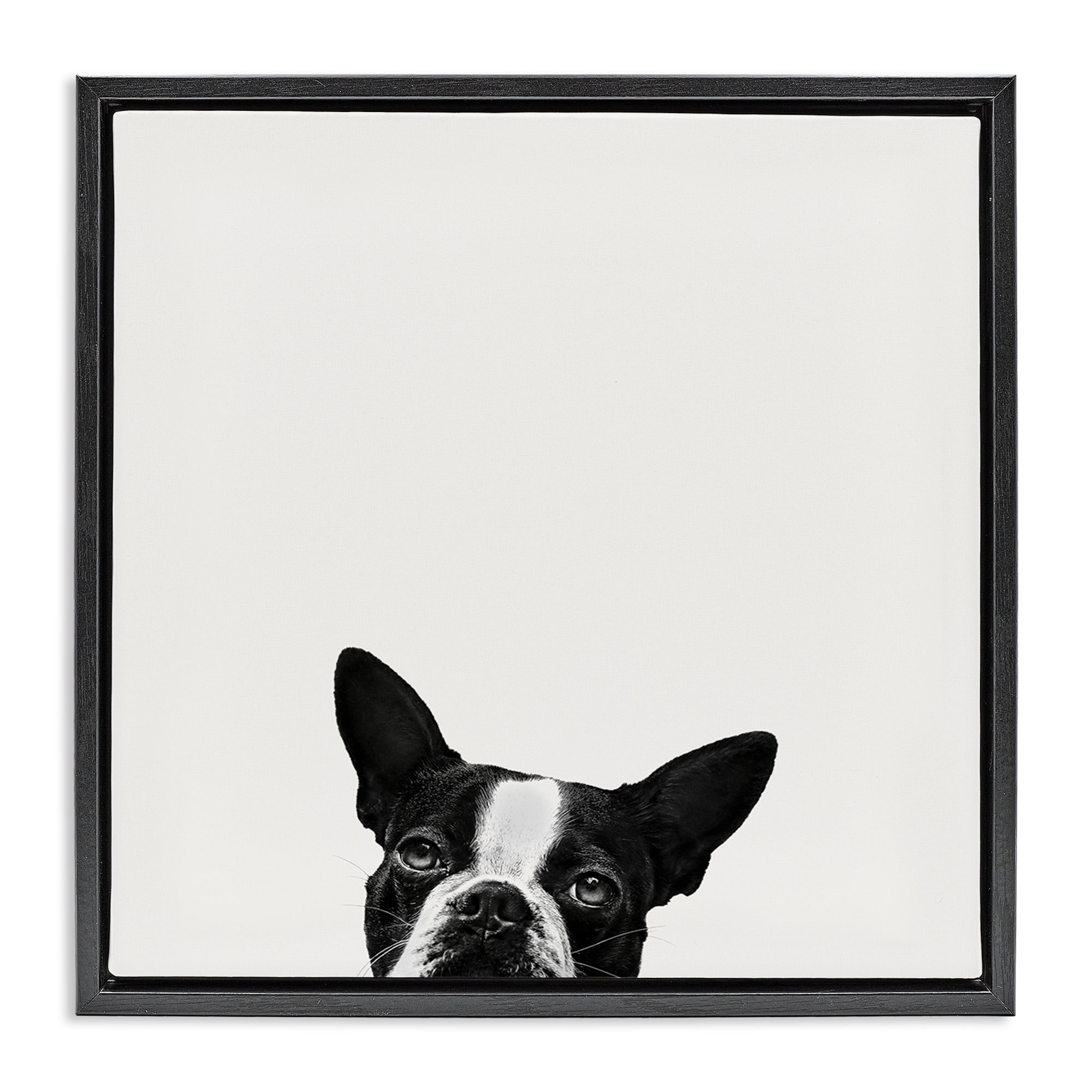 Stupell Industries Dog Peeking From Below Animals & Insects Painting Black Floater Framed Canvas Art Print Wall Art, 18 x 18
