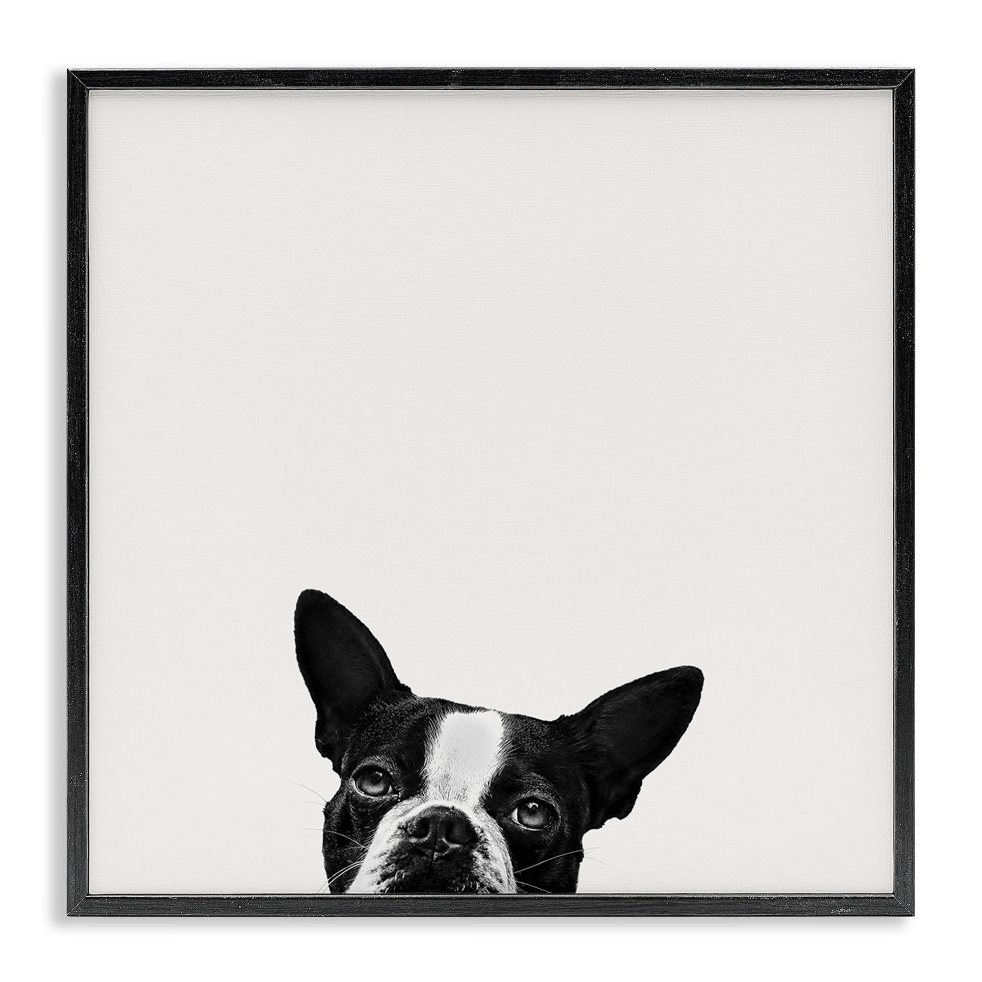 Stupell Industries Dog Peeking From Below Animals & Insects Painting Black Framed Art Print Wall Art, 24 x 24
