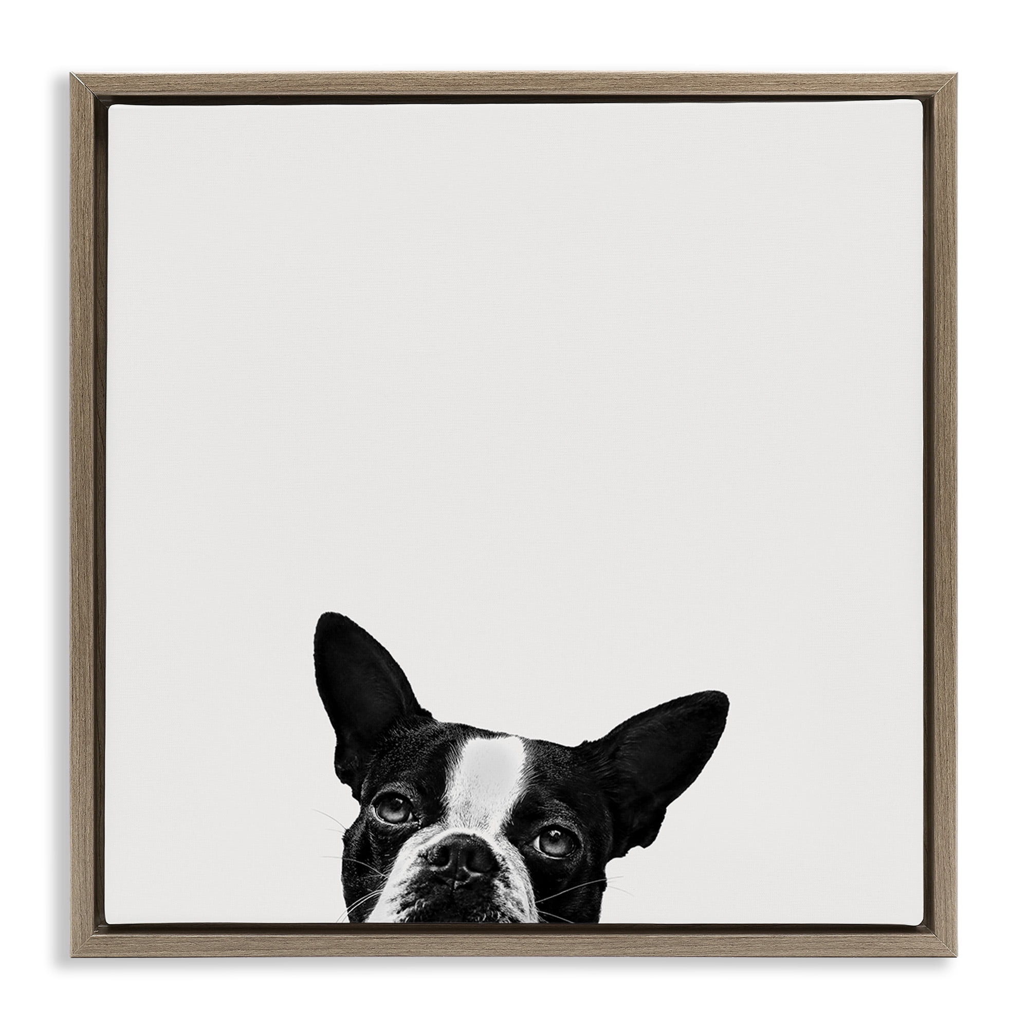 Stupell Industries Dog Peeking From Below Animals & Insects Painting Brown Floater Framed Canvas Art Print Wall Art, 18 x 18