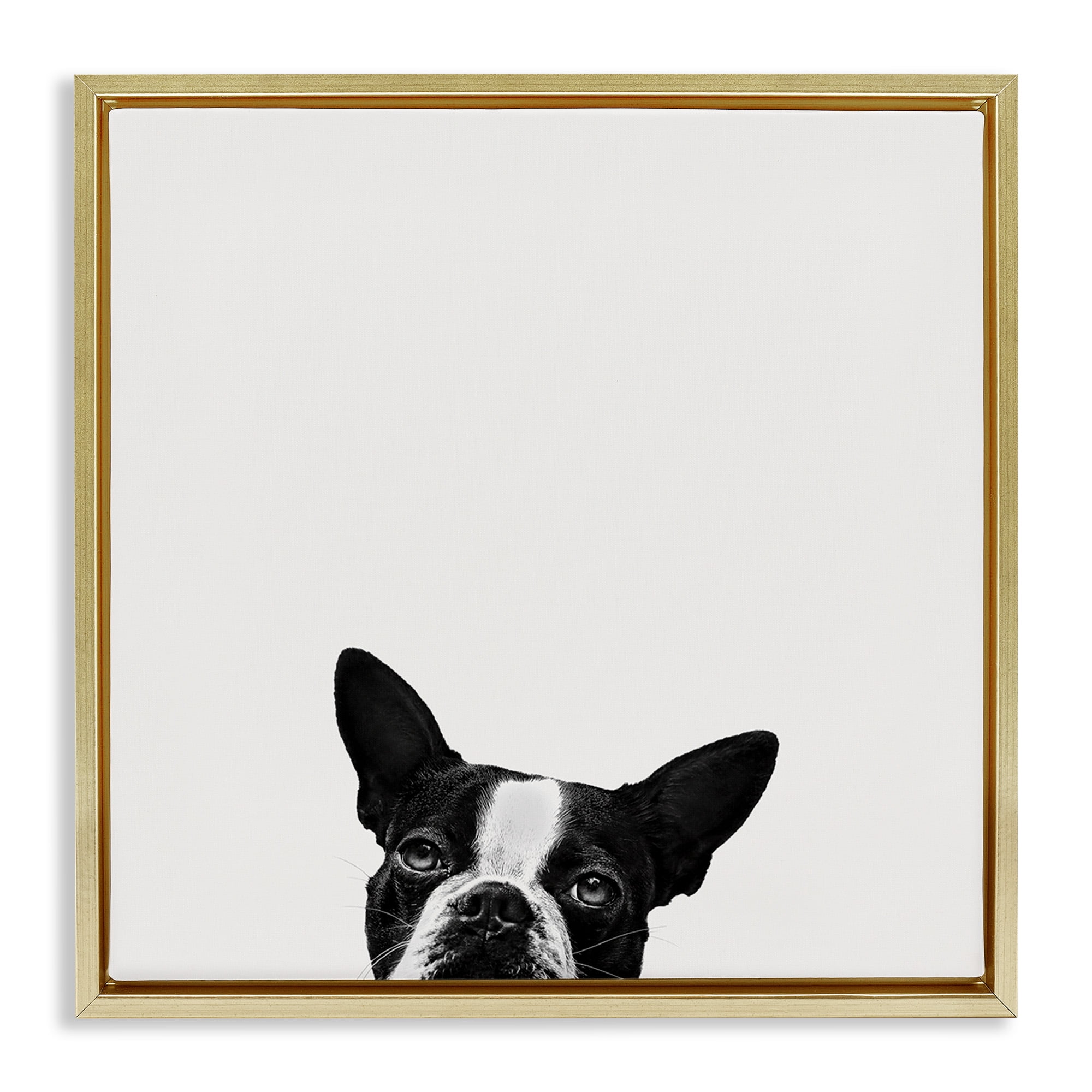 Stupell Industries Dog Peeking From Below Animals & Insects Painting Gold Floater Framed Canvas Art Print Wall Art, 25 x 25
