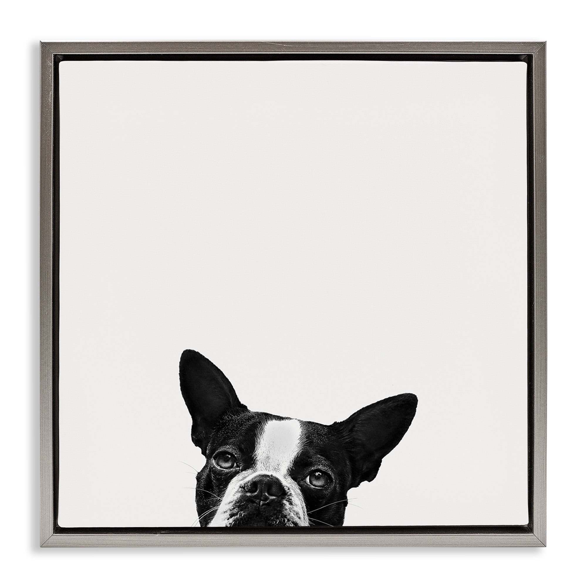 Stupell Industries Dog Peeking From Below Animals & Insects Painting Gray Floater Framed Canvas Art Print Wall Art, 18 x 18