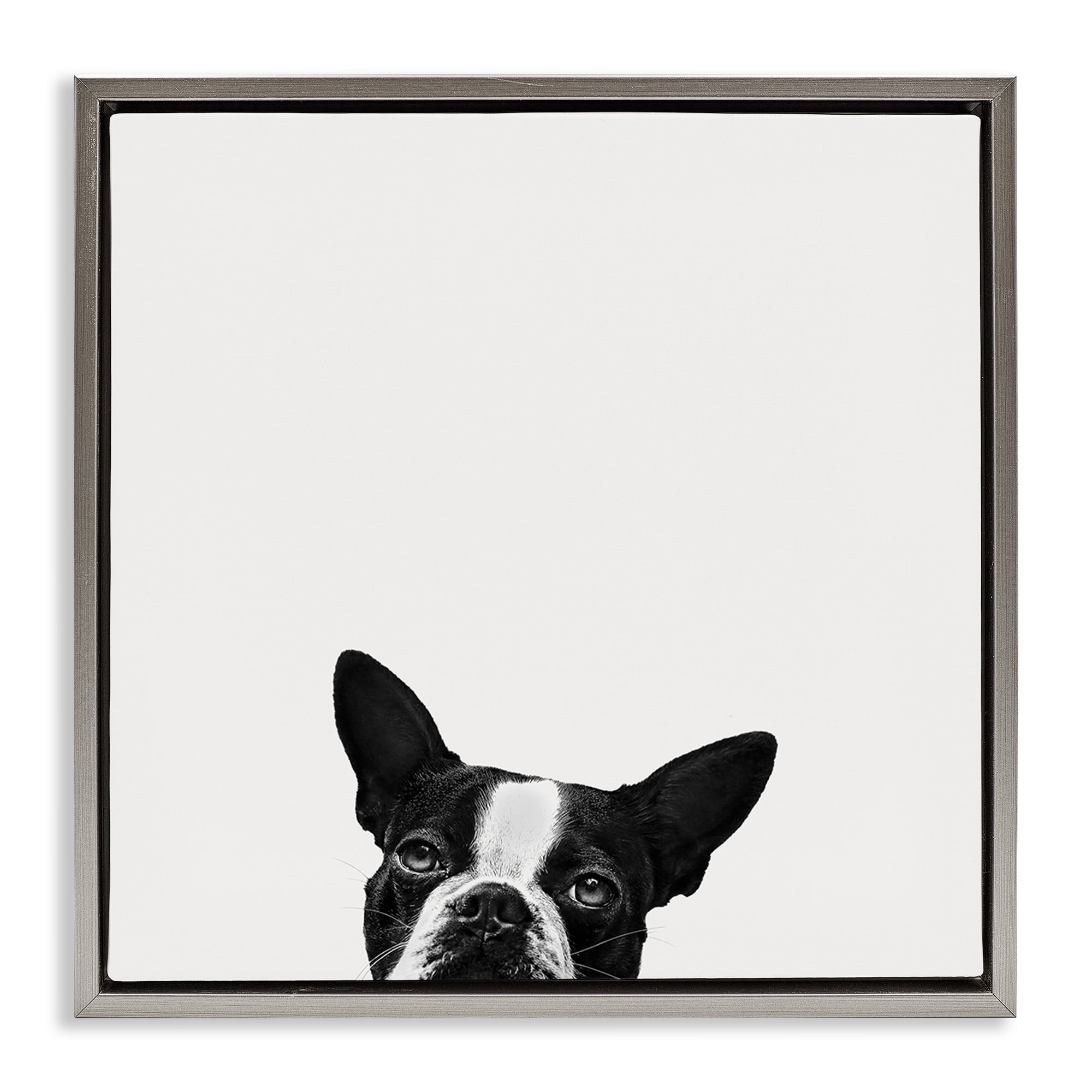 Stupell Industries Dog Peeking From Below Animals & Insects Painting Gray Floater Framed Canvas Art Print Wall Art, 25 x 25