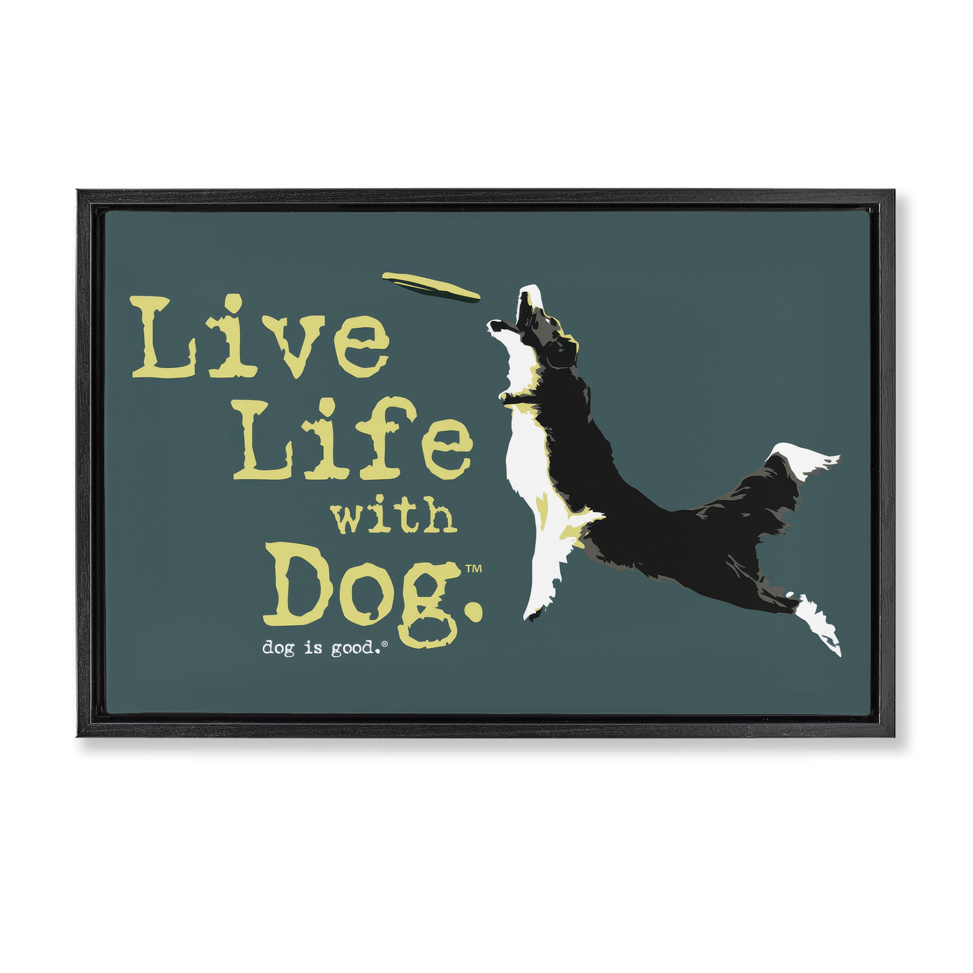 Stupell Industries Dog Playing Fetch Phrase Animals Painting Black Floater Framed Canvas Art Print Wall Art, 25 x 17