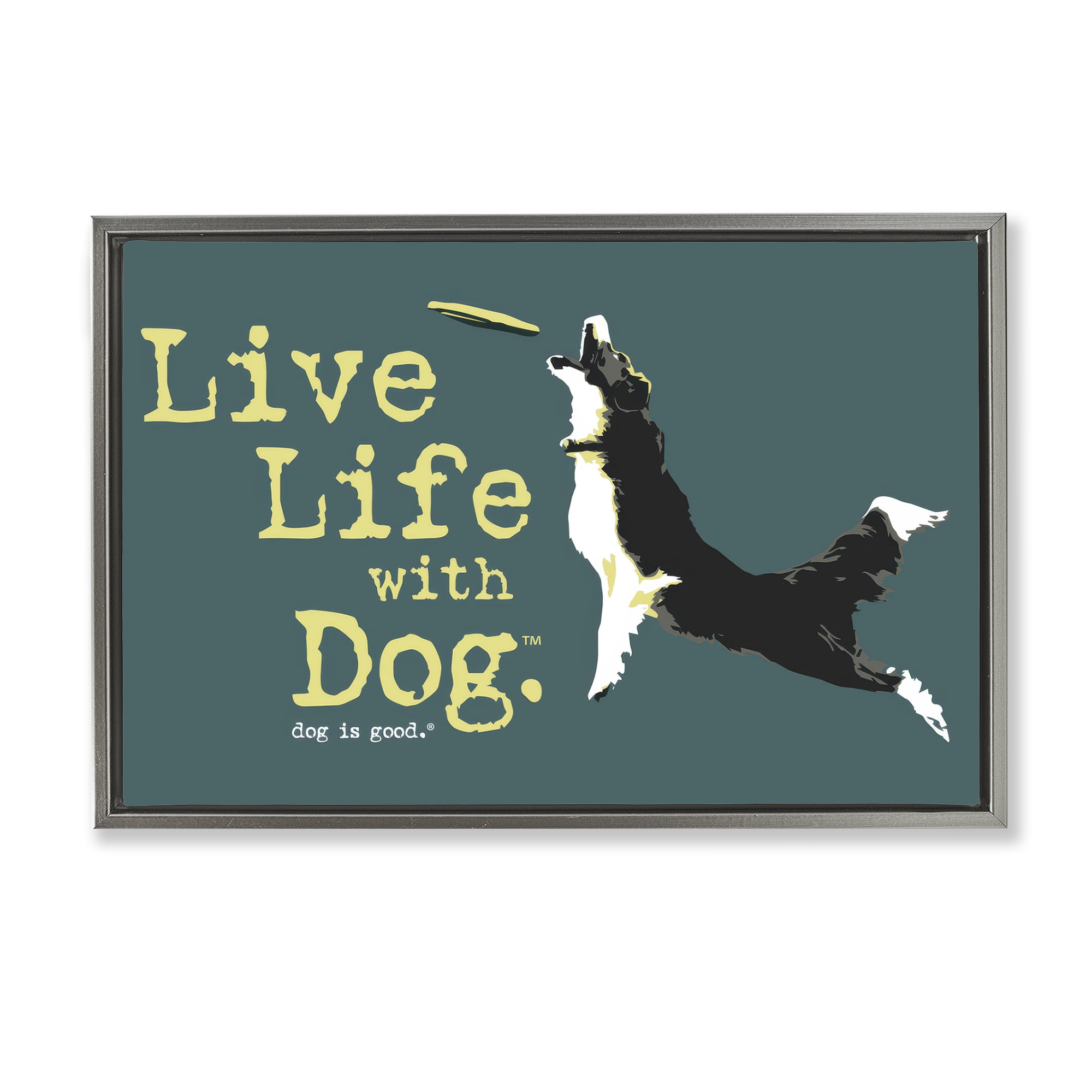 Stupell Industries Dog Playing Fetch Phrase Animals Painting Gray Floater Framed Canvas Art Print Wall Art, 31 x 21