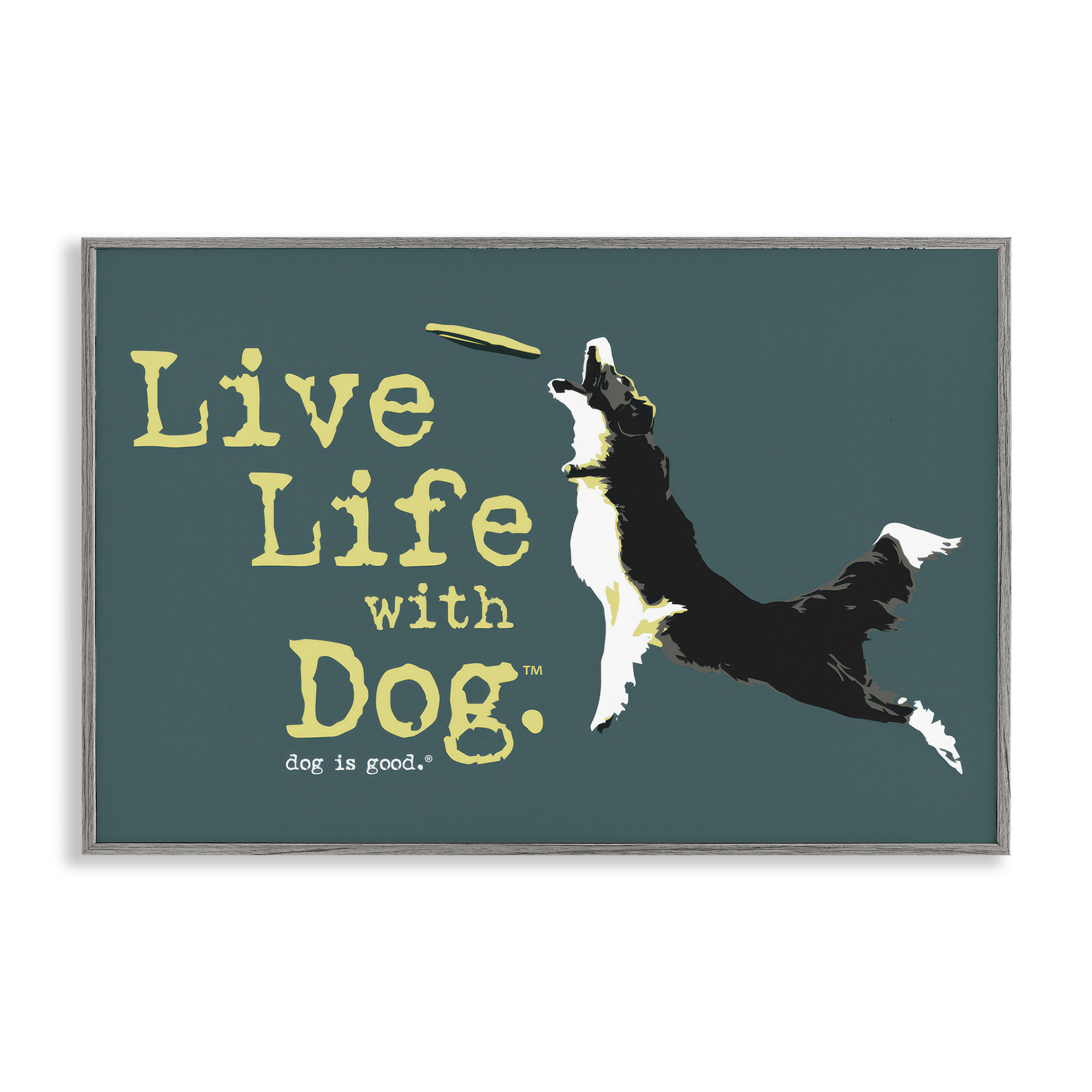 Stupell Industries Dog Playing Fetch Phrase Animals Painting Gray Framed Art Print Wall Art, 18 x 12