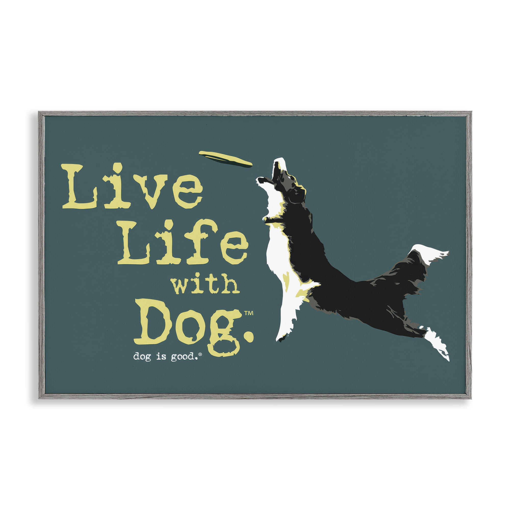 Stupell Industries Dog Playing Fetch Phrase Animals Painting Gray Framed Art Print Wall Art, 24 x 16