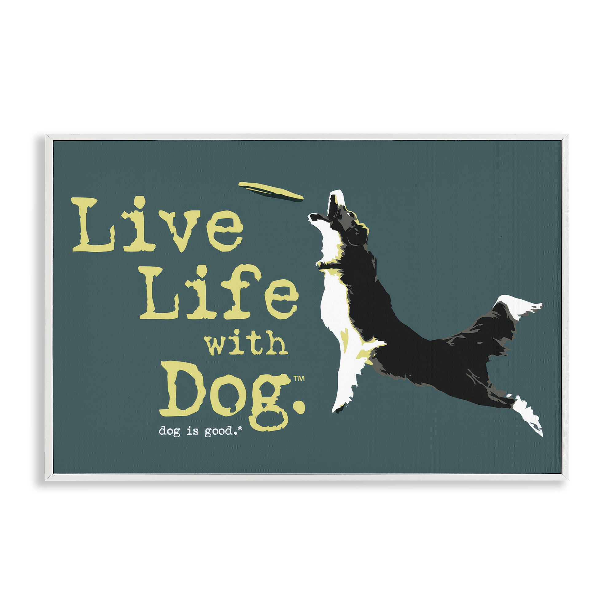 Stupell Industries Dog Playing Fetch Phrase Animals Painting White Framed Art Print Wall Art, 30 x 20