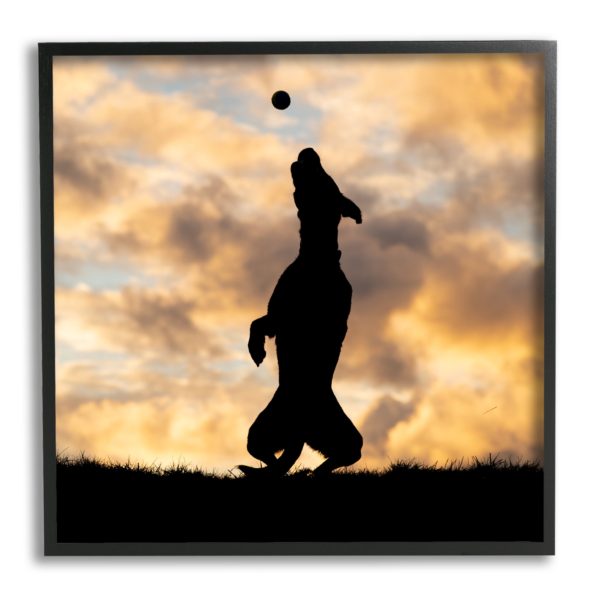 Stupell Industries Dog Playing Sunset Silhouette Animals & Insects Photography Black Framed Art Print Wall Art, 12 x 12